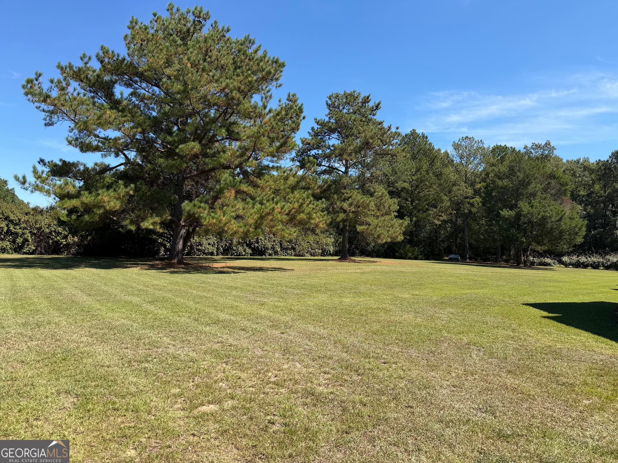 6 bedroom, 4.5 bathroom, 3,815 sq ft single family residence for sale at 231 Broad Meadows Road, Dublin, GA 31021 — photo 8