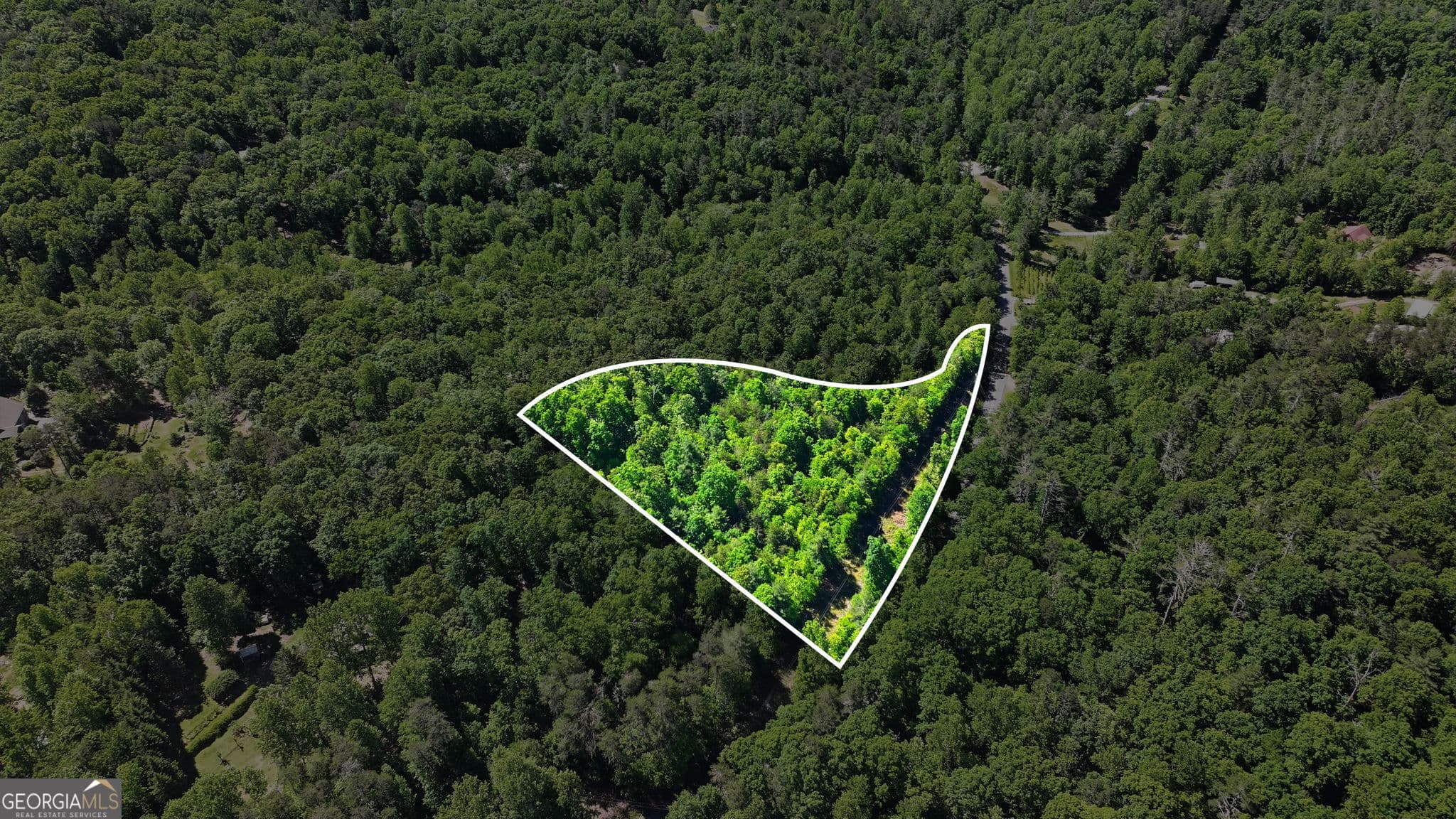 residential lot for sale at 201 Spookhaven Lane, Clarkesville, GA 30523 — photo 6