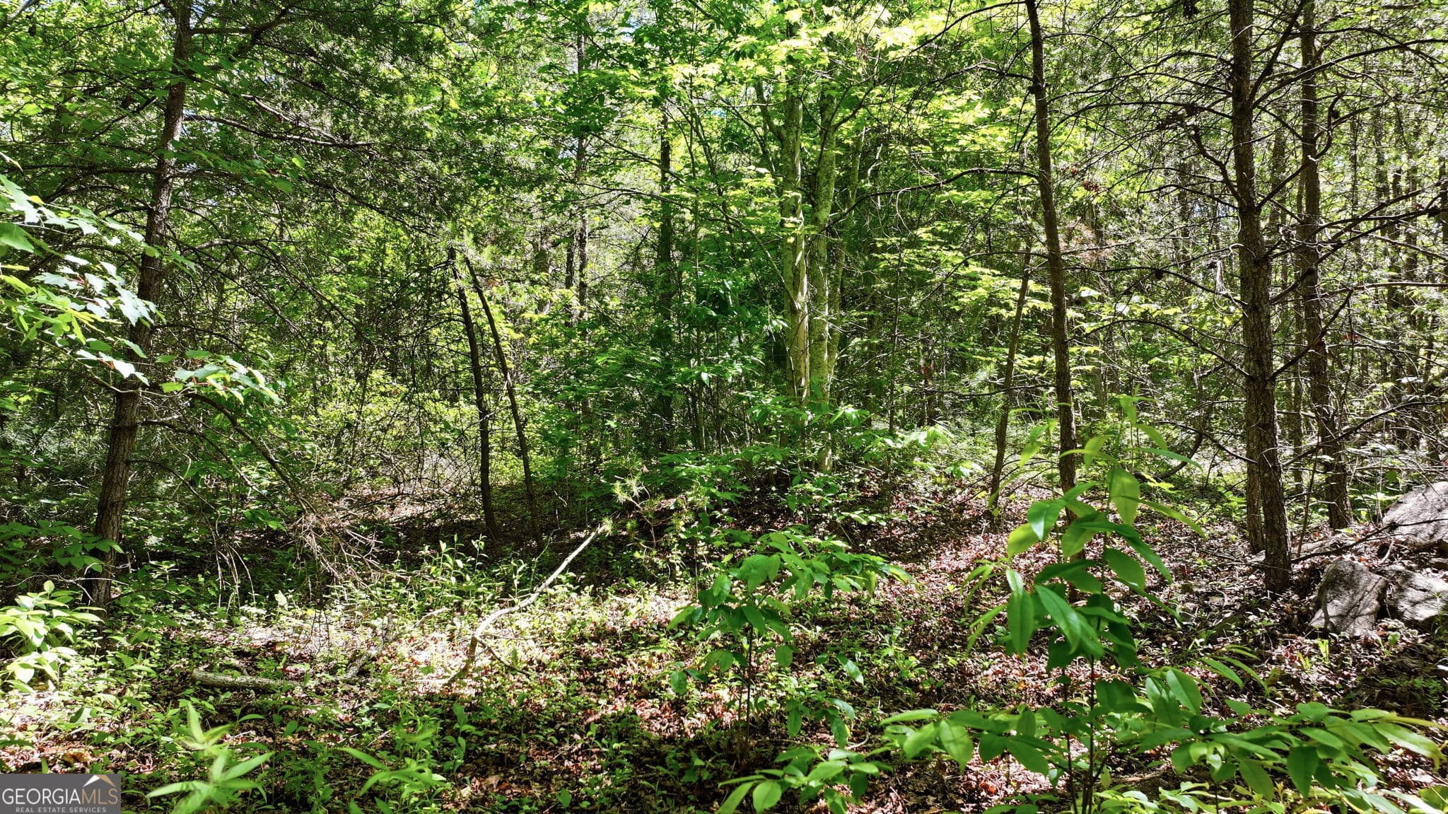 residential lot for sale at 201 Spookhaven Lane, Clarkesville, GA 30523 — photo 3
