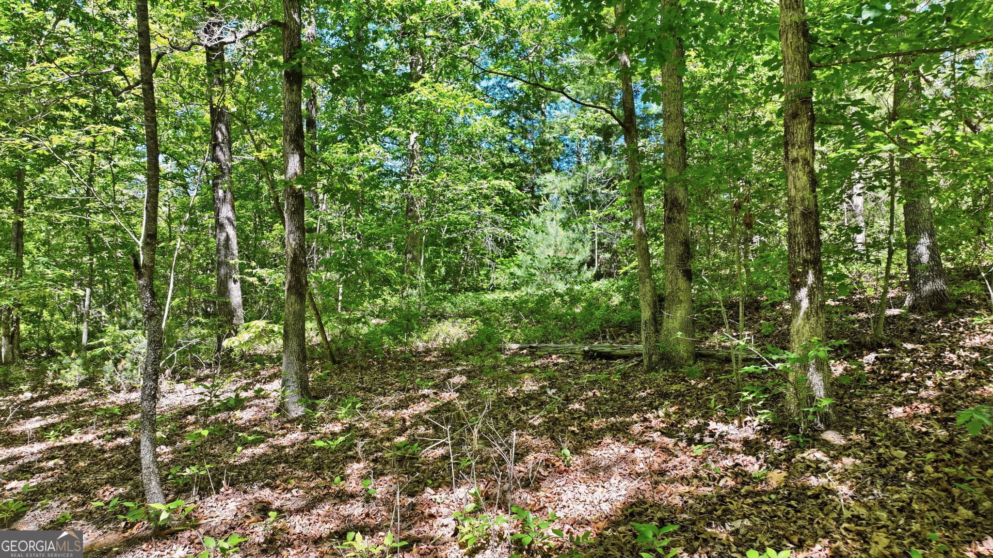 residential lot for sale at 201 Spookhaven Lane, Clarkesville, GA 30523 — photo 5