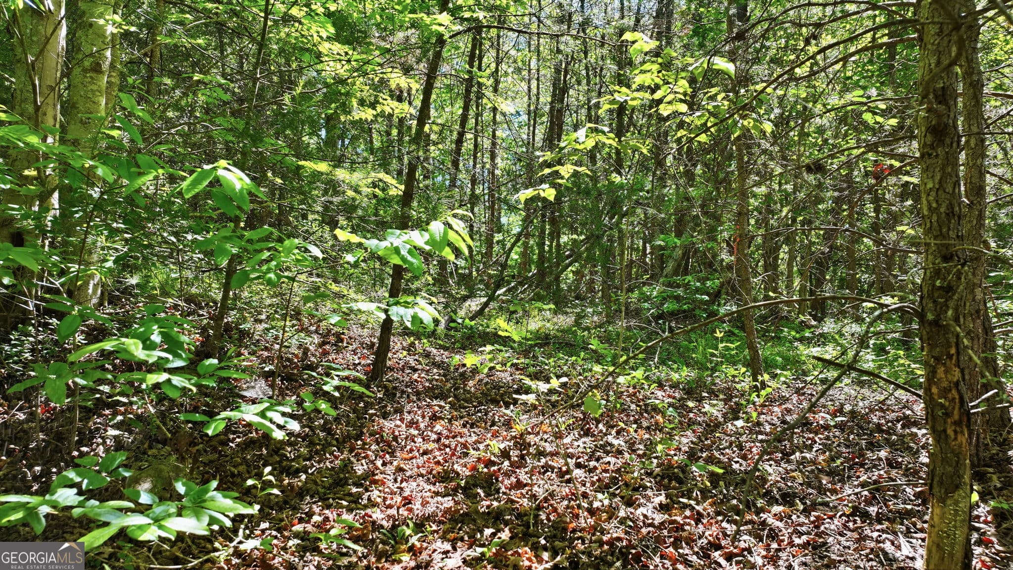 residential lot for sale at 201 Spookhaven Lane, Clarkesville, GA 30523 — photo 9