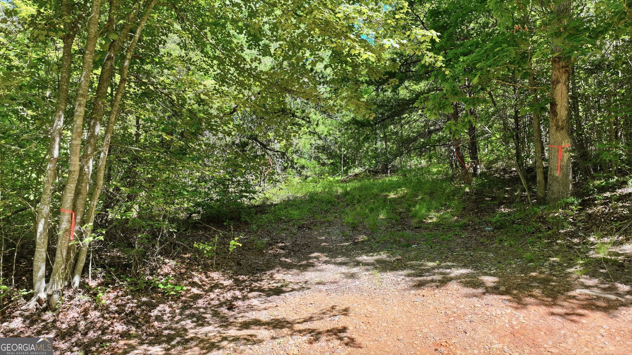 residential lot for sale at 201 Spookhaven Lane, Clarkesville, GA 30523 — photo 10