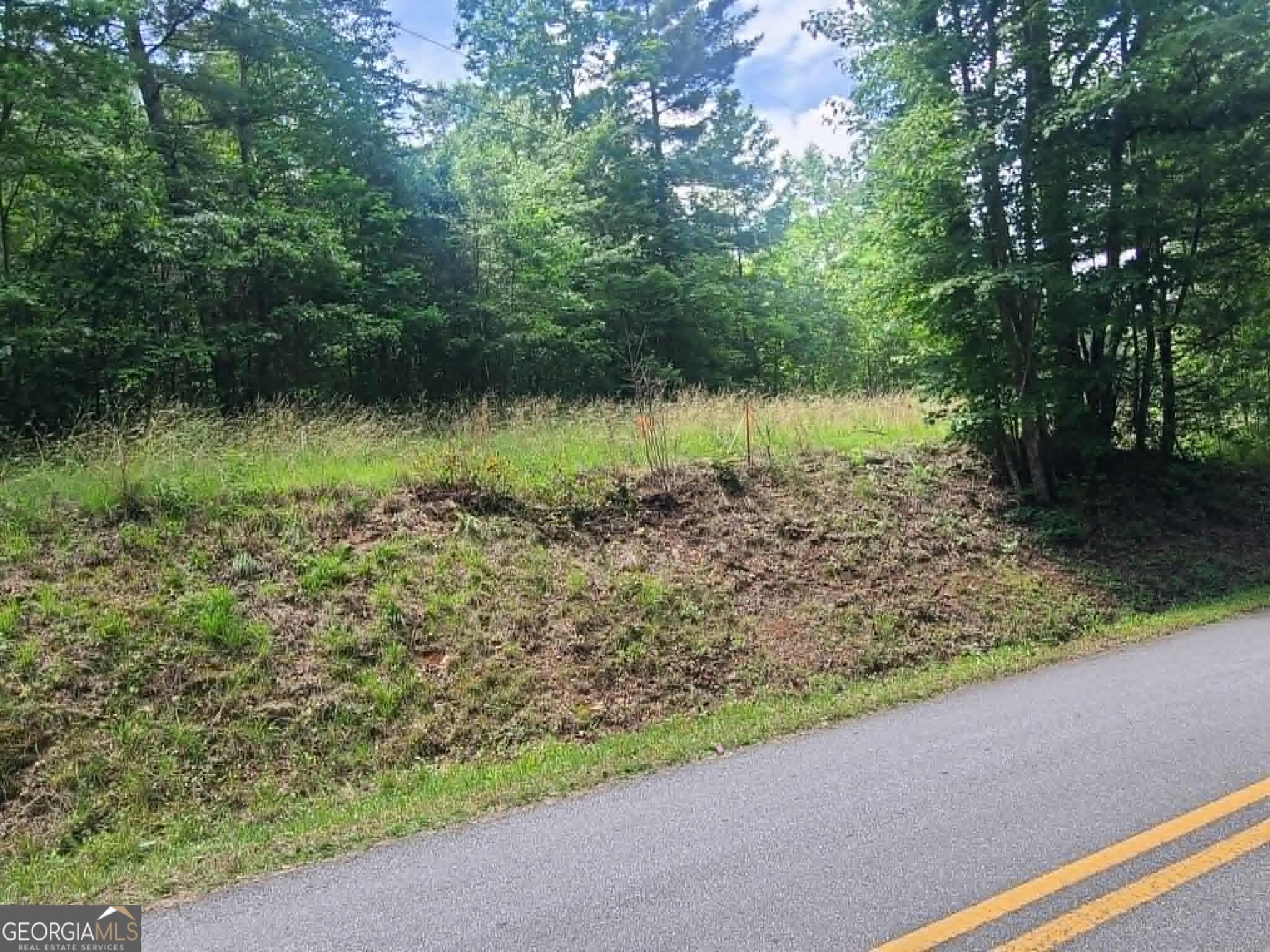 residential lot for sale at 201 Spookhaven Lane, Clarkesville, GA 30523 — photo 4