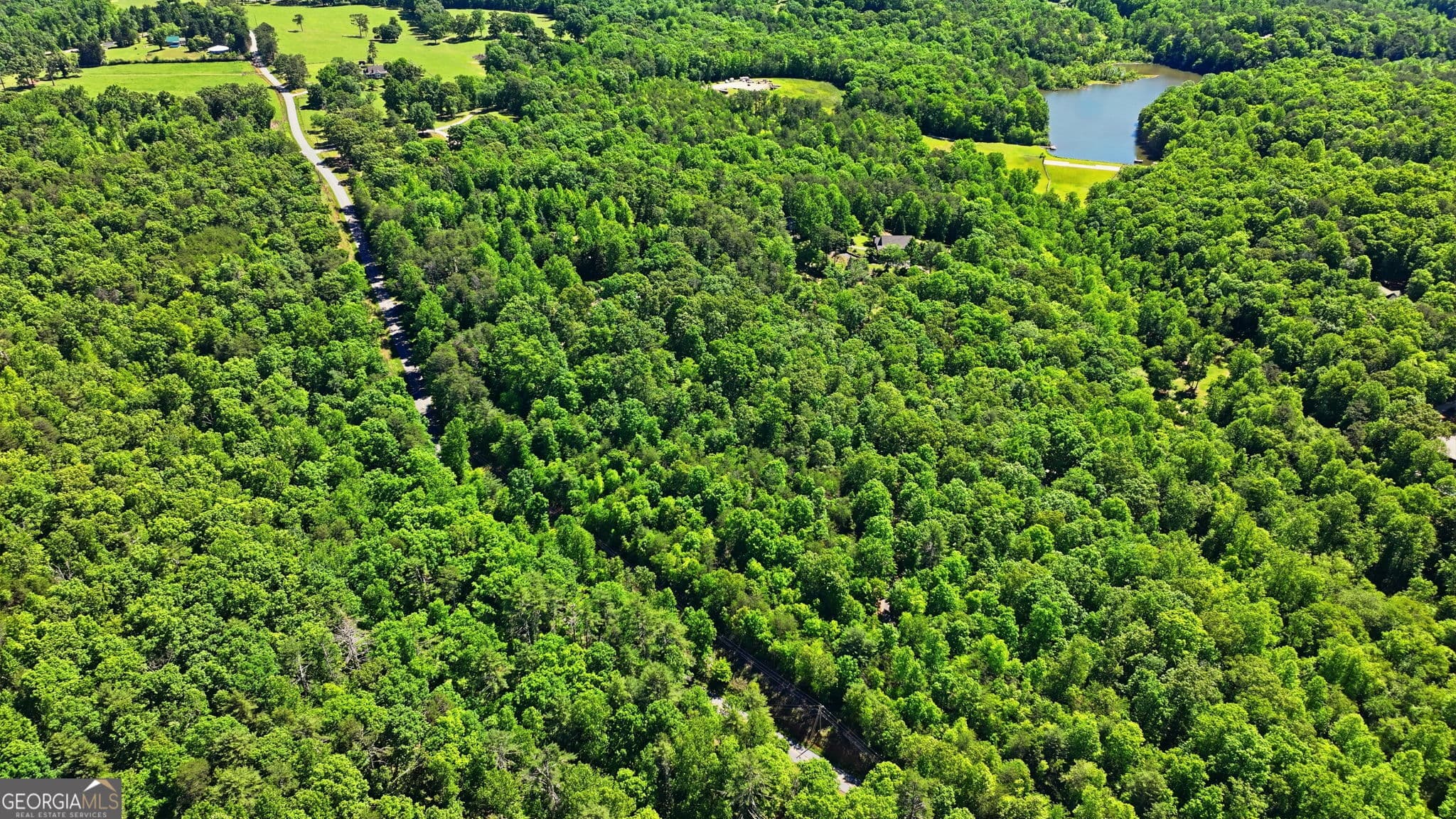 residential lot for sale at 201 Spookhaven Lane, Clarkesville, GA 30523 — photo 8