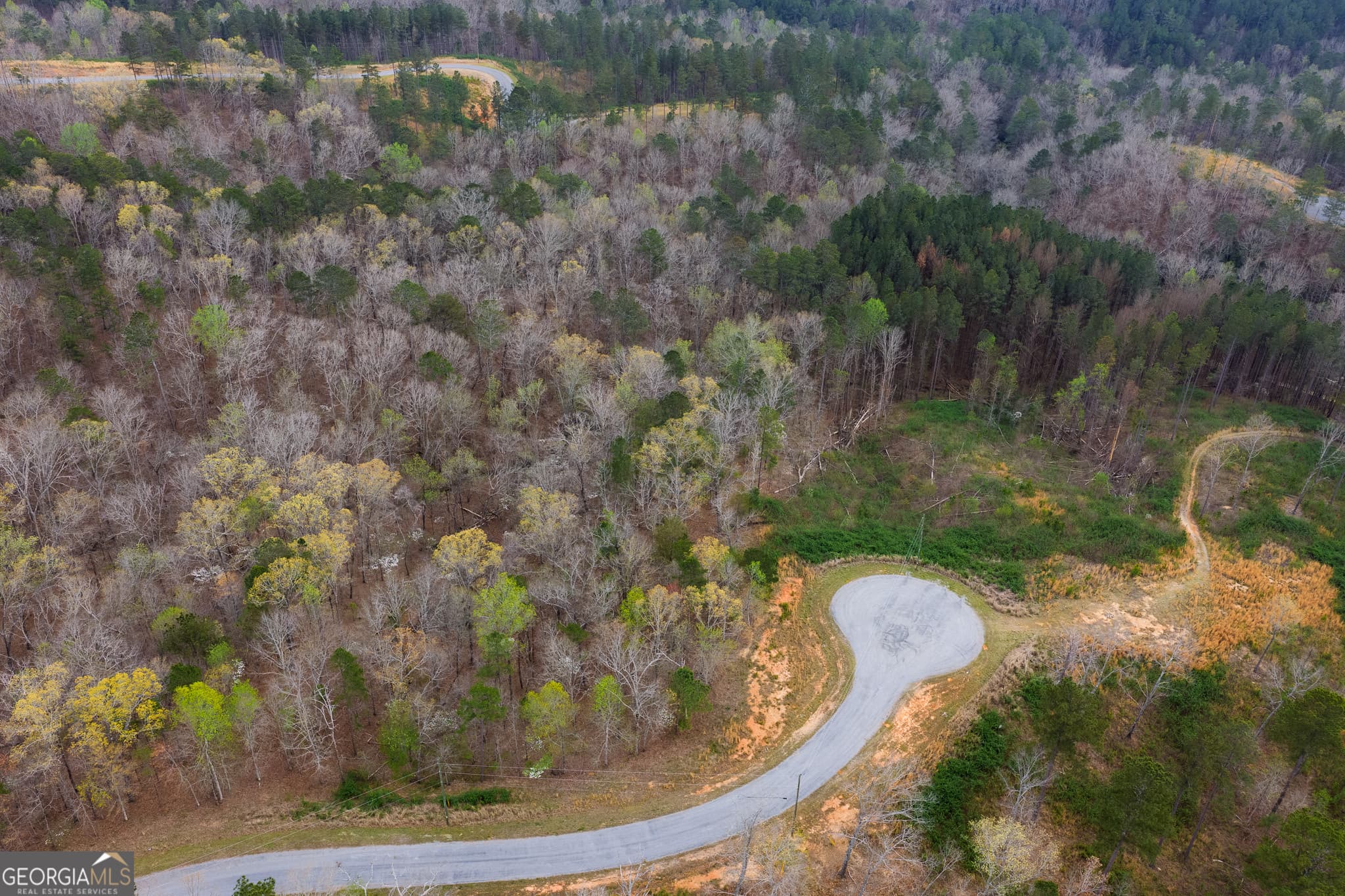 residential lot for sale at LOT 43 Bucktail Way, Talking Rock, GA 30175 — photo 2
