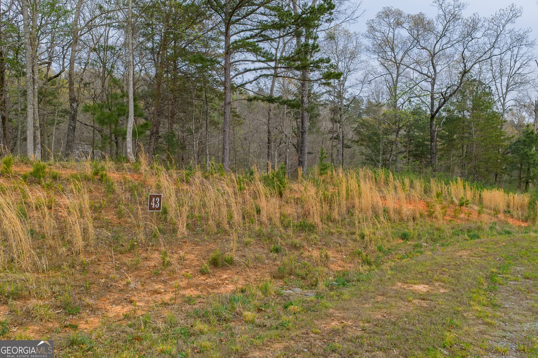 residential lot for sale at LOT 43 Bucktail Way, Talking Rock, GA 30175 — photo 6