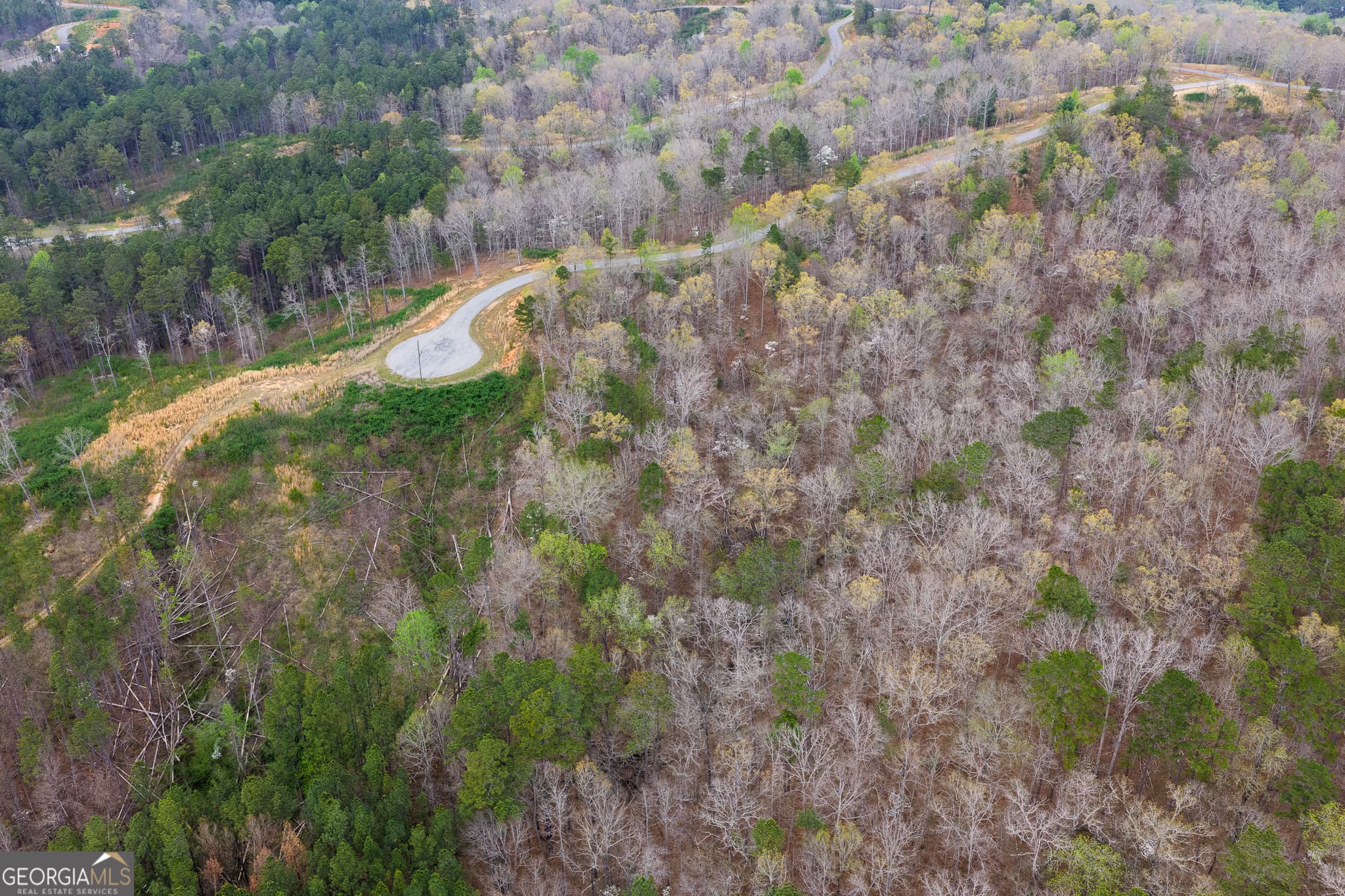 residential lot for sale at LOT 43 Bucktail Way, Talking Rock, GA 30175 — photo 3