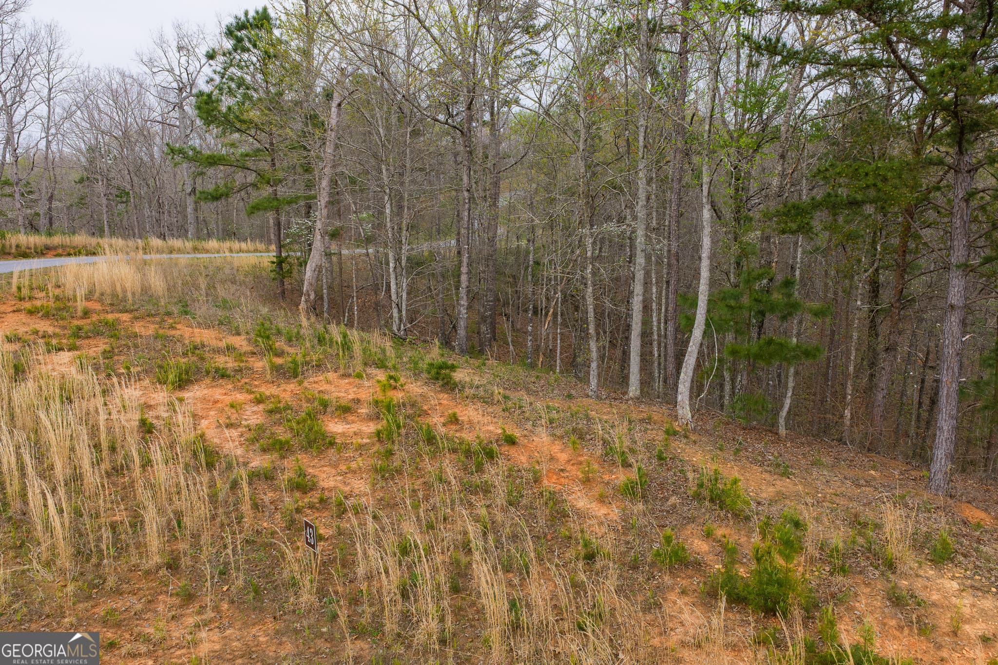 residential lot for sale at LOT 43 Bucktail Way, Talking Rock, GA 30175 — photo 5