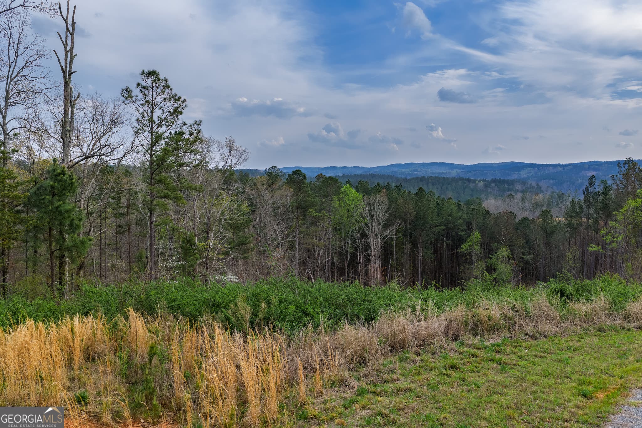 residential lot for sale at LOT 43 Bucktail Way, Talking Rock, GA 30175 — photo 4