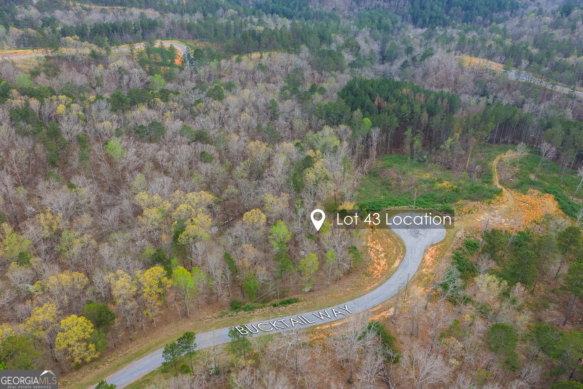 residential lot for sale at LOT 43 Bucktail Way, Talking Rock, GA 30175 — photo 8