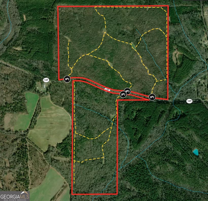 unimproved land for sale at 337+/- AC Hwy 137, Buena Vista, GA 31803