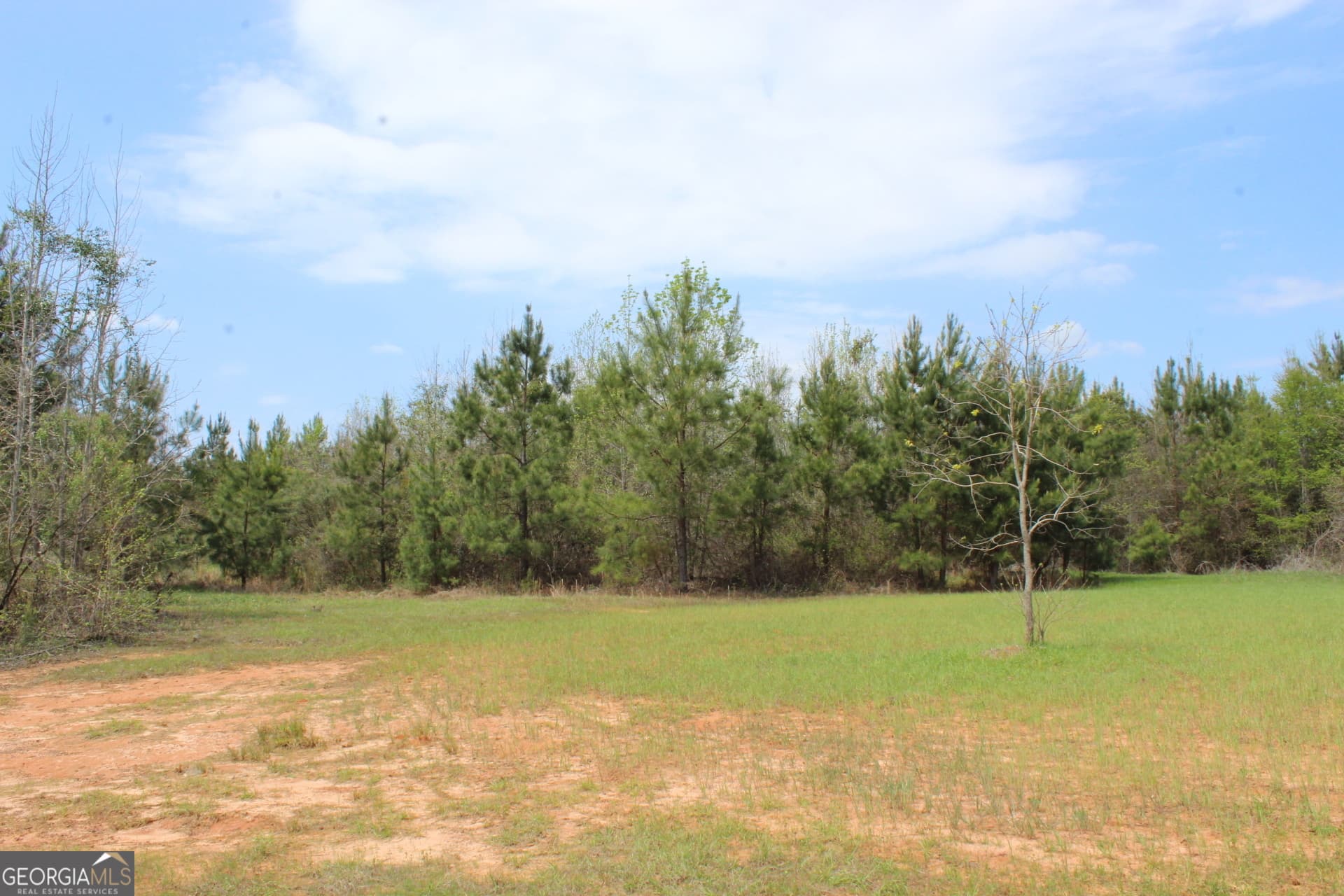 unimproved land for sale at 337+/- AC Hwy 137, Buena Vista, GA 31803 — photo 5