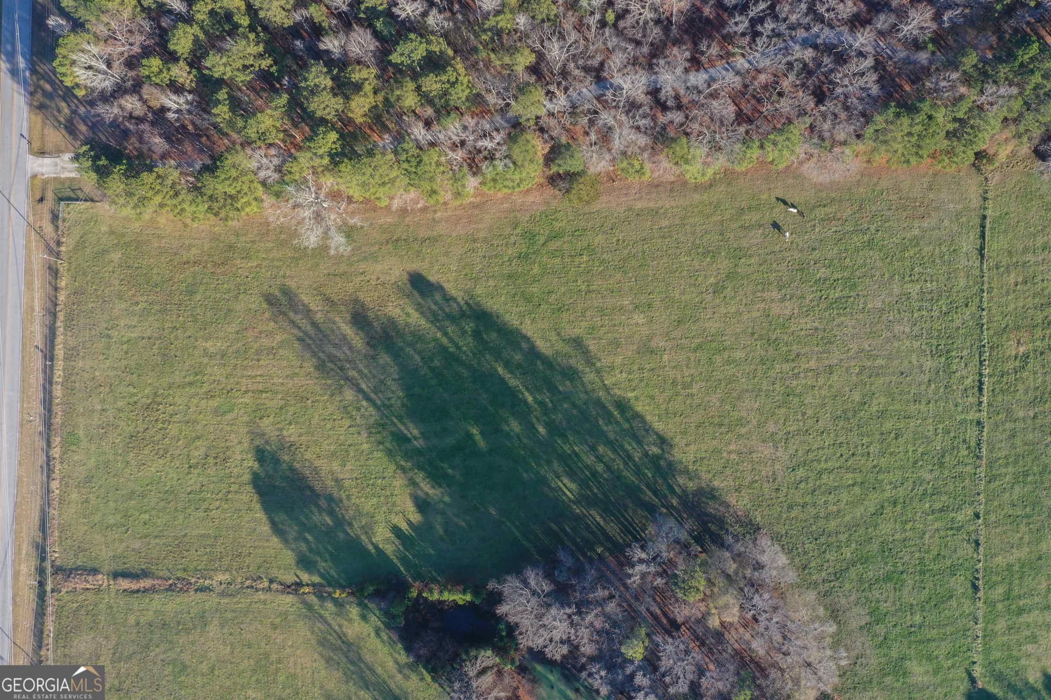 agriculture for sale at 19.6 ACRES Grant Road, Fayetteville, GA 30215 — photo 2