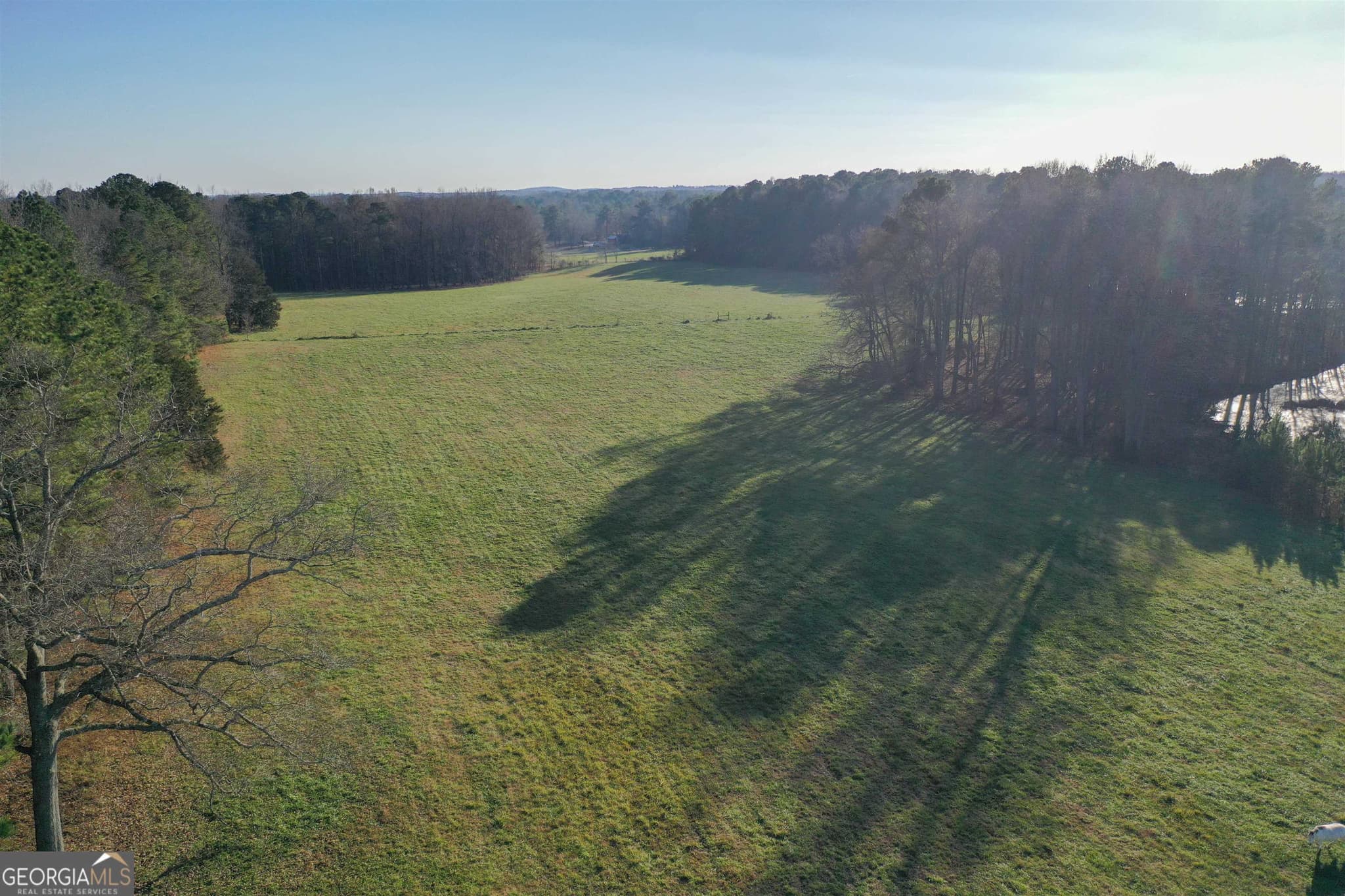 agriculture for sale at 19.6 ACRES Grant Road, Fayetteville, GA 30215 — photo 6