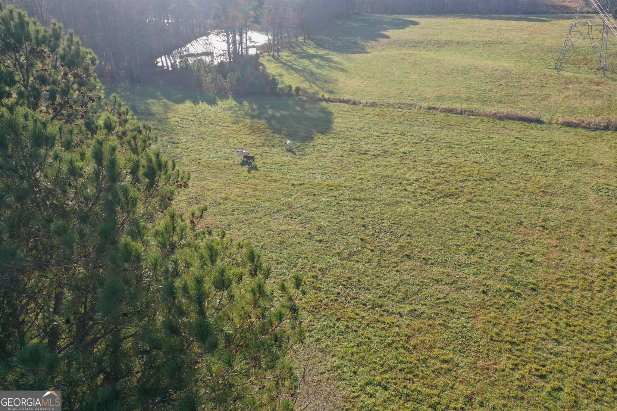 agriculture for sale at 19.6 ACRES Grant Road, Fayetteville, GA 30215 — photo 7