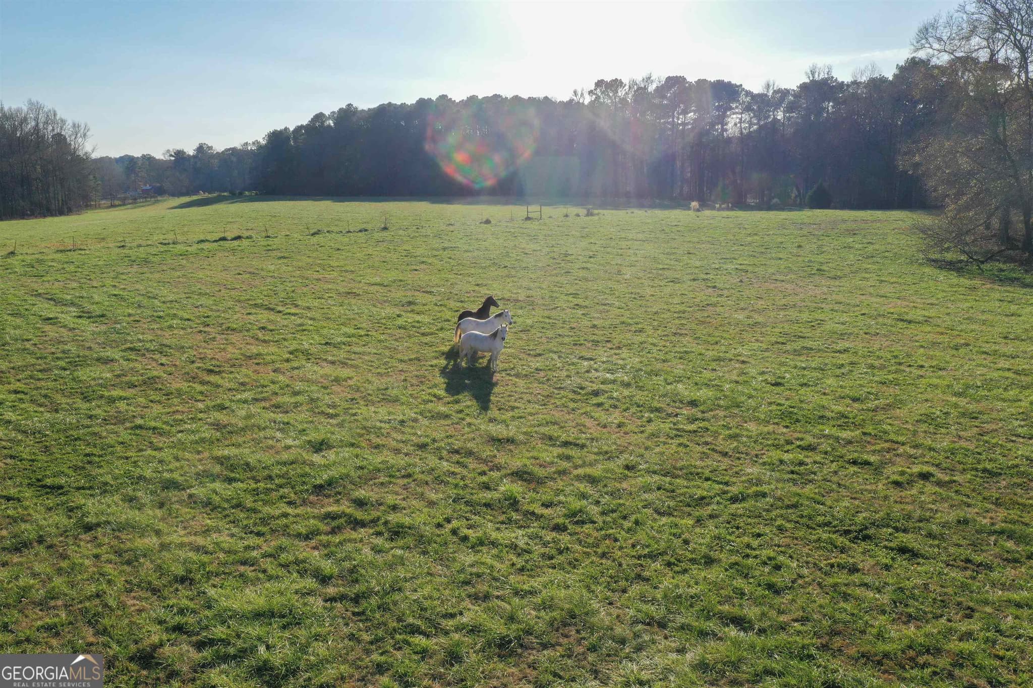 agriculture for sale at 19.6 ACRES Grant Road, Fayetteville, GA 30215 — photo 5