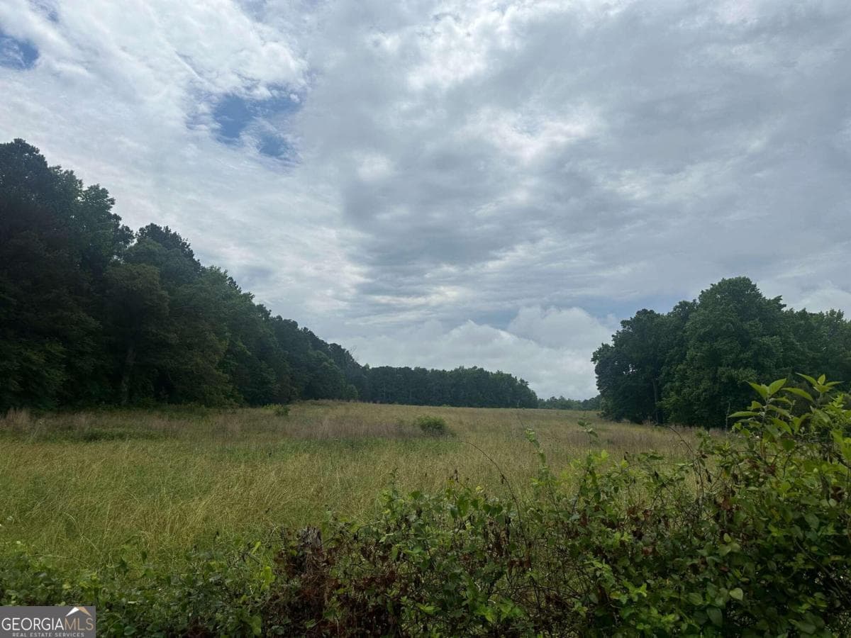 agriculture for sale at 19.6 ACRES Grant Road, Fayetteville, GA 30215 — photo 9