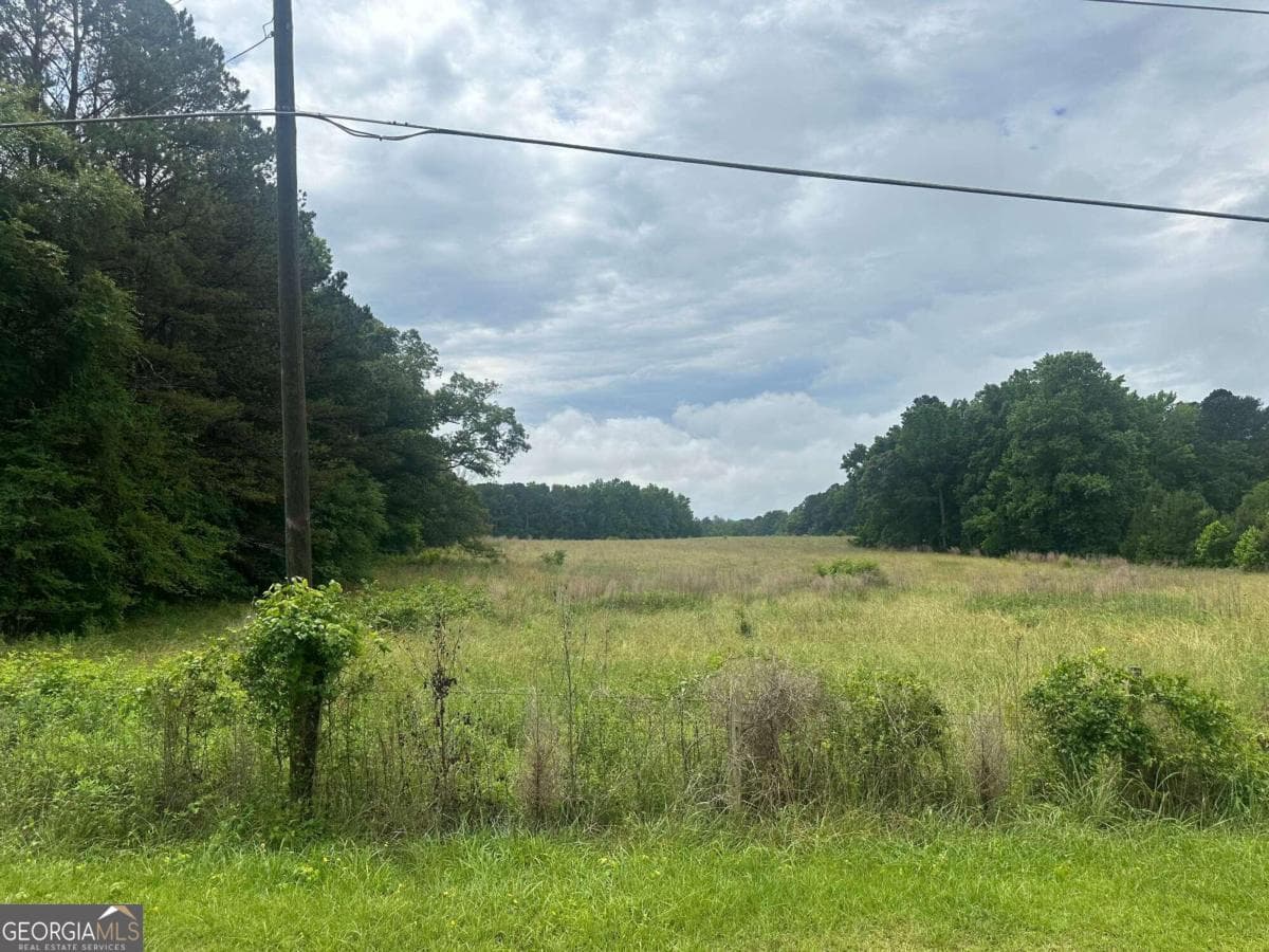 agriculture for sale at 19.6 ACRES Grant Road, Fayetteville, GA 30215 — photo 10