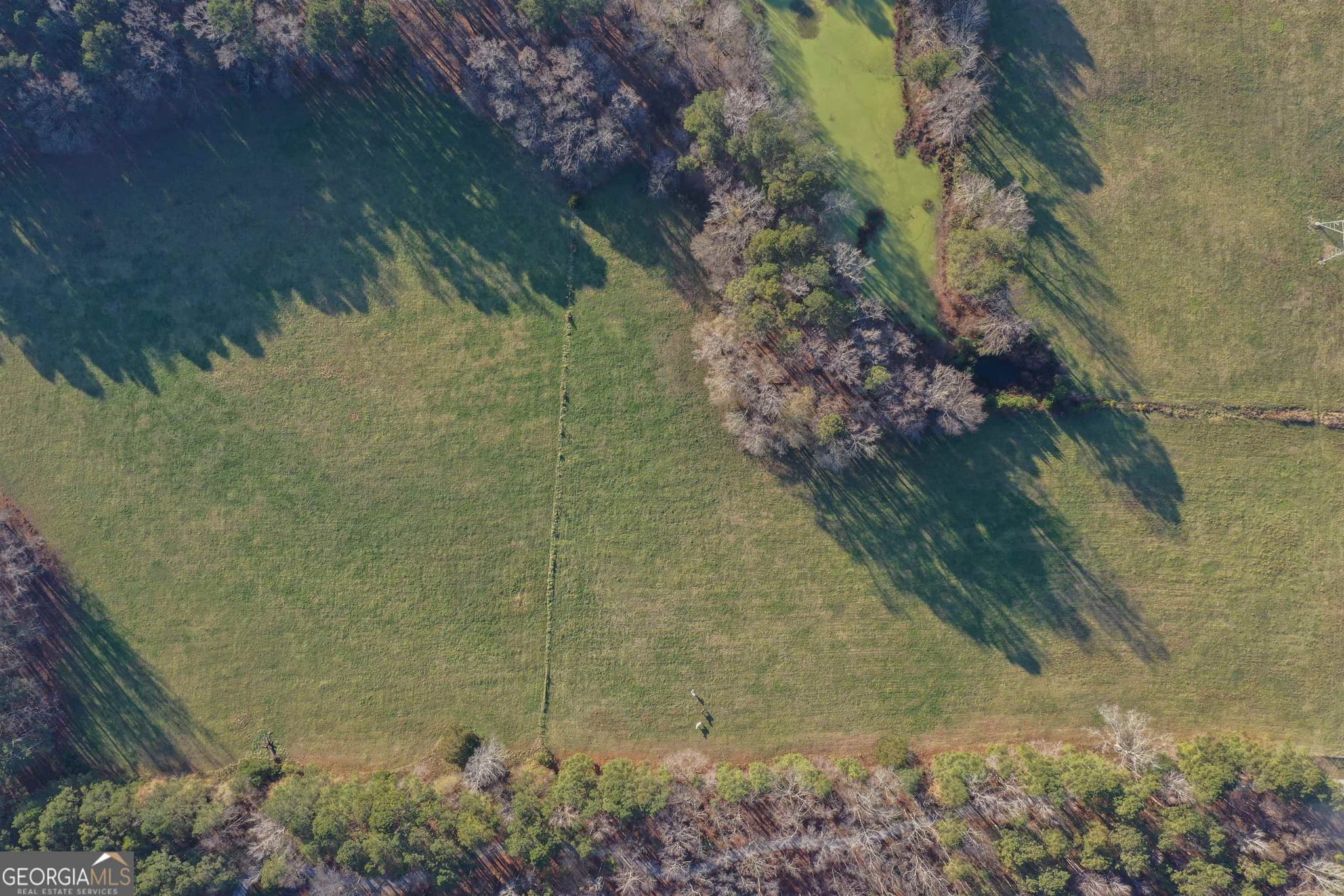 agriculture for sale at 19.6 ACRES Grant Road, Fayetteville, GA 30215 — photo 4