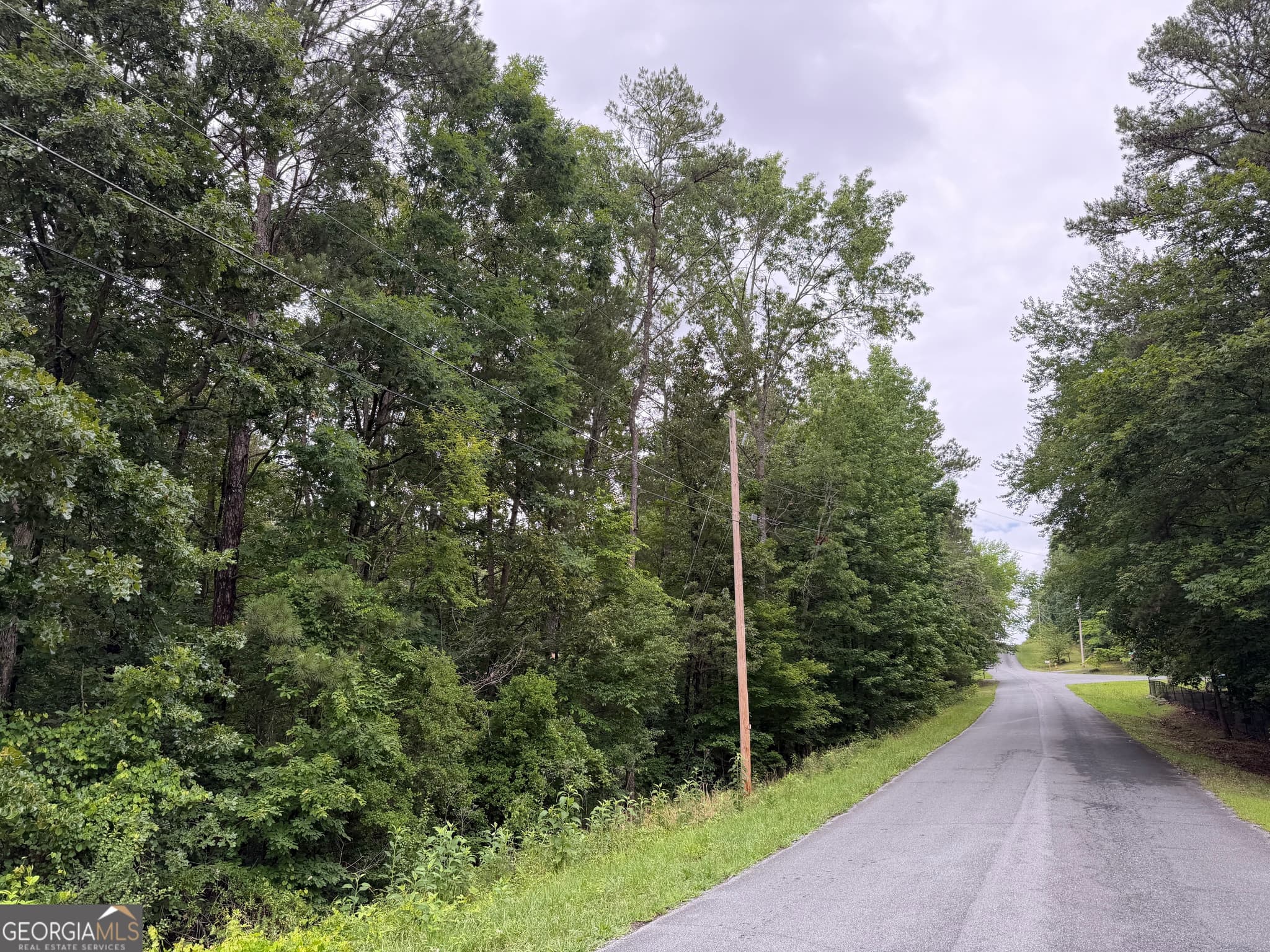 unimproved land for sale at 0 Cowan Drive, Cartersville, GA 30120 — photo 5