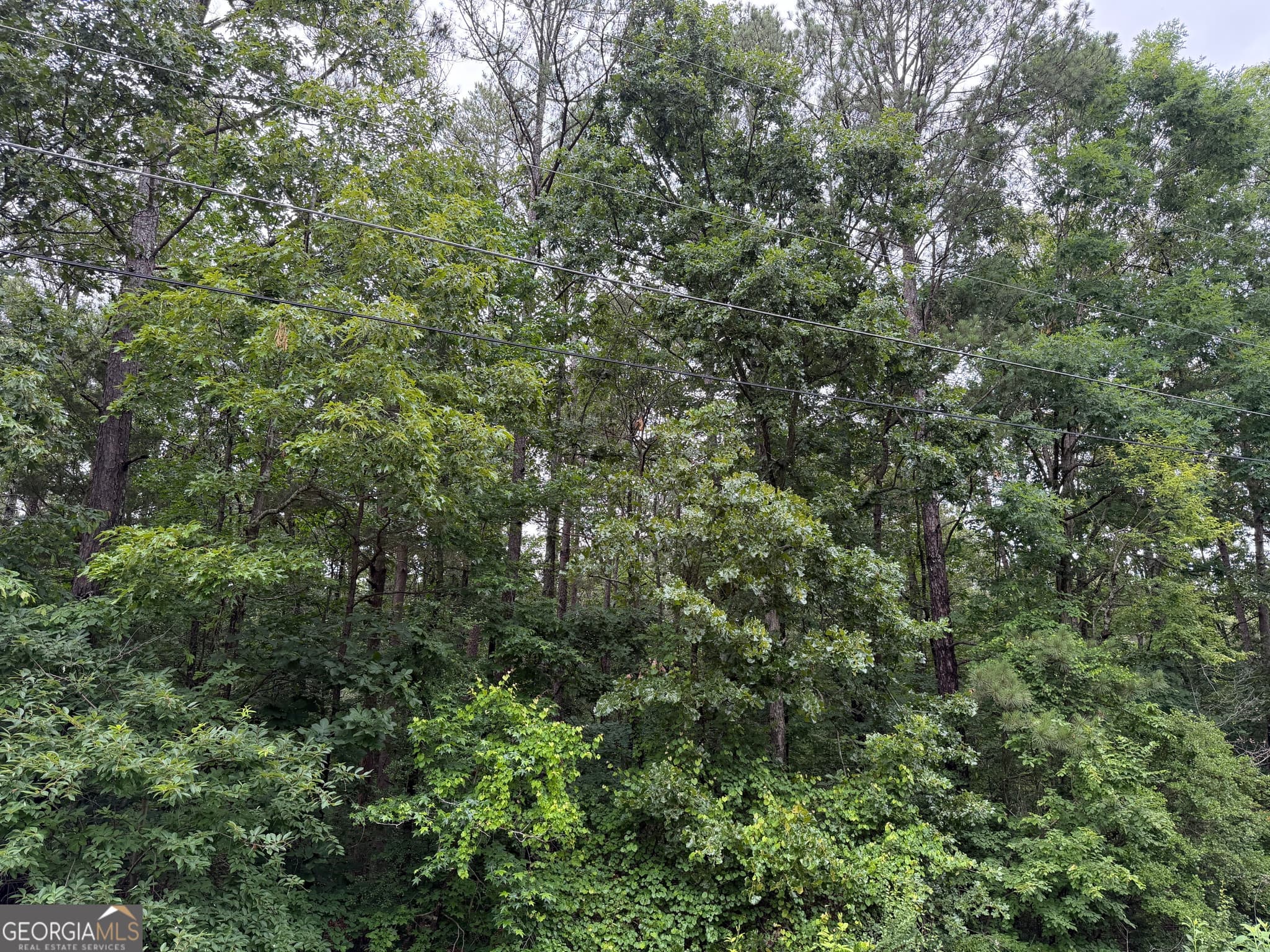 unimproved land for sale at 0 Cowan Drive, Cartersville, GA 30120 — photo 4