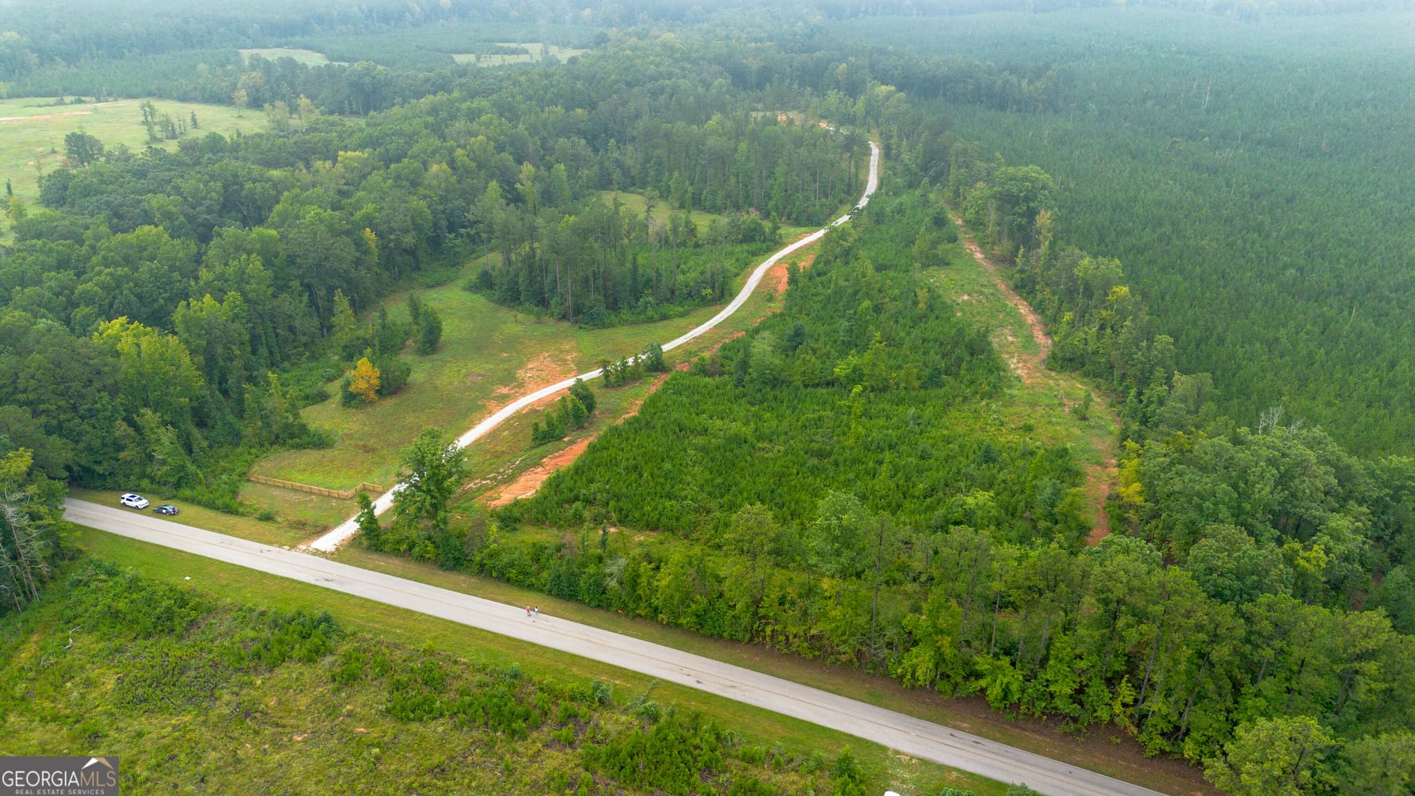 agriculture for sale at 0 Lanier Road (16 ACRES), White Plains, GA 30678 — photo 3
