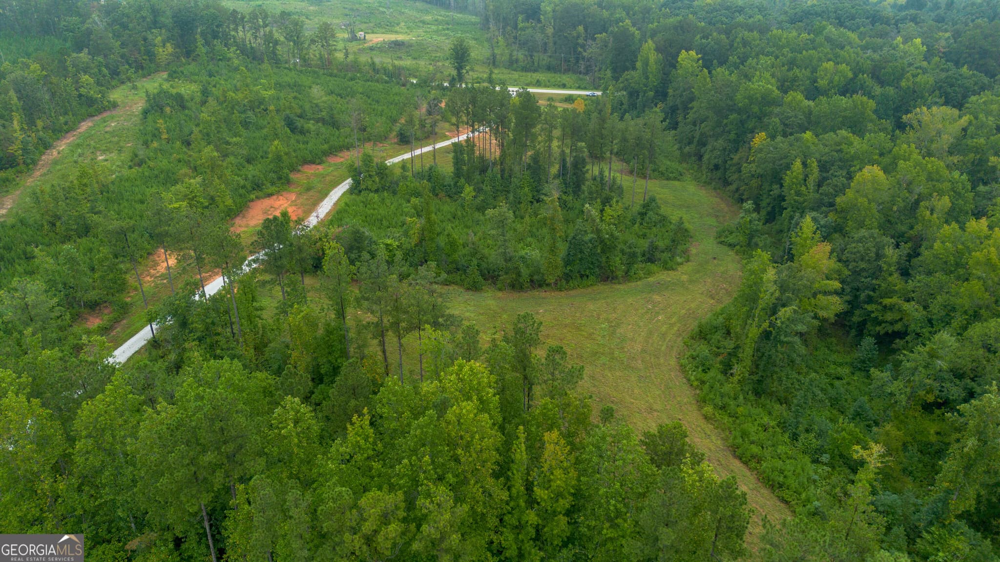agriculture for sale at 0 Lanier Road (16 ACRES), White Plains, GA 30678 — photo 9