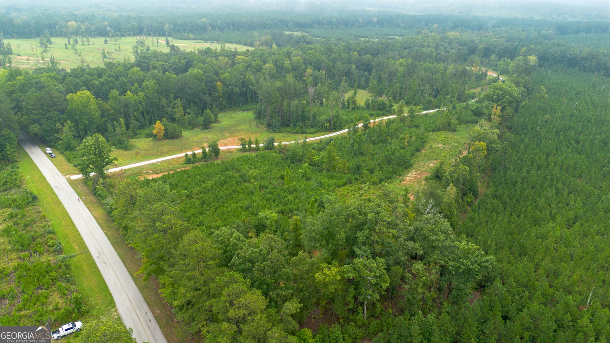 agriculture for sale at 0 Lanier Road (16 ACRES), White Plains, GA 30678 — photo 4