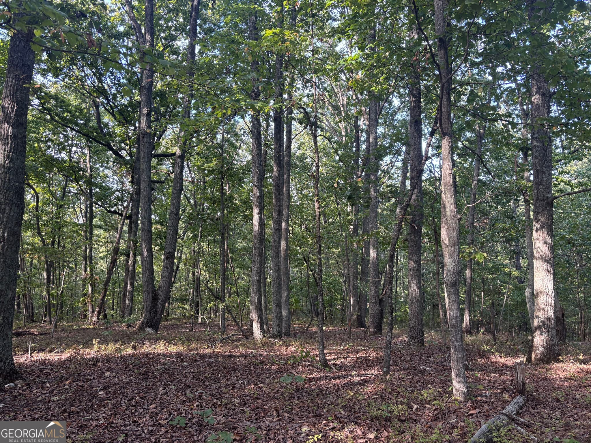 residential lot for sale at 0 Killarney Way, Kingston, GA 30145 — photo 2