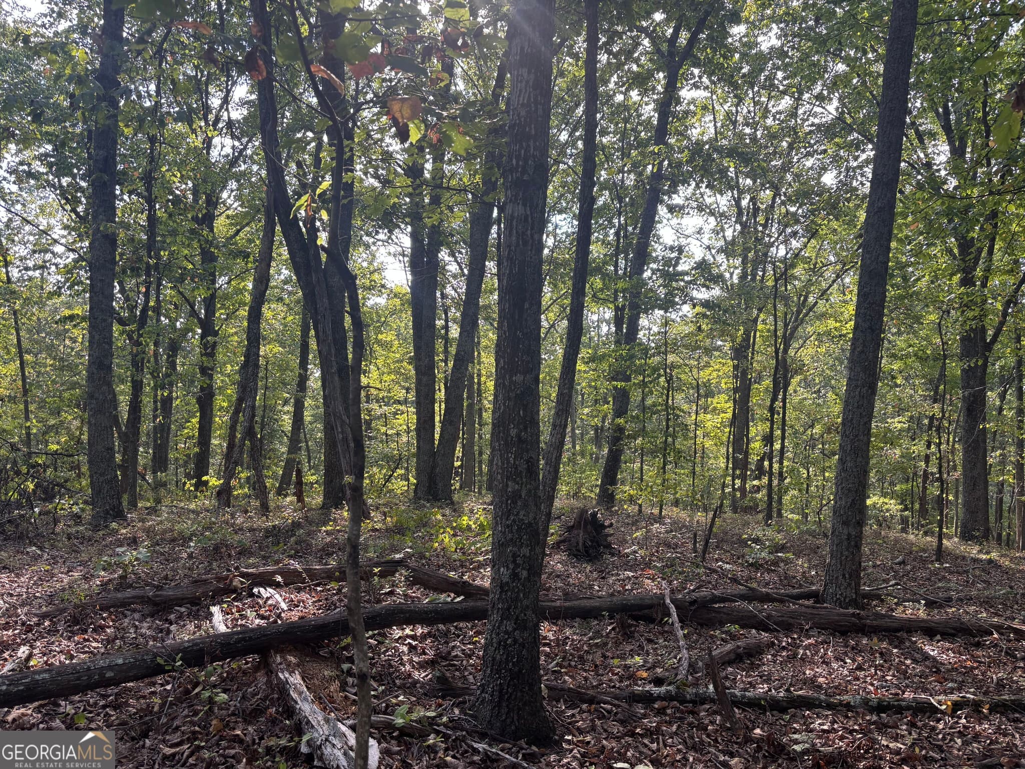residential lot for sale at 0 Killarney Way, Kingston, GA 30145 — photo 3