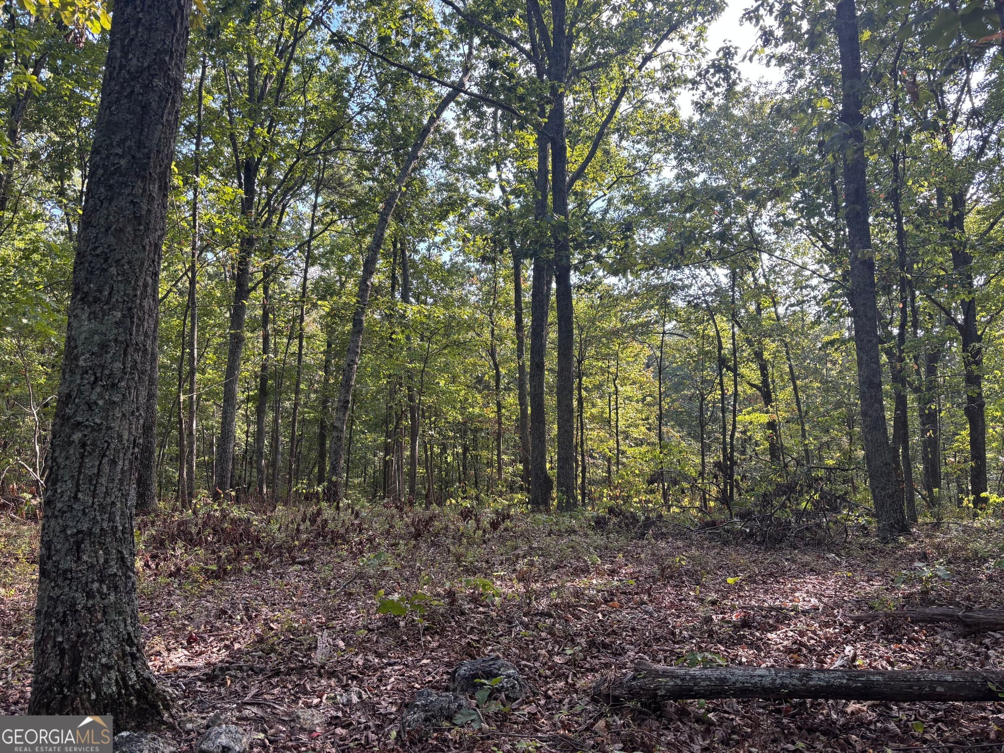 residential lot for sale at 0 Killarney Way, Kingston, GA 30145 — photo 4