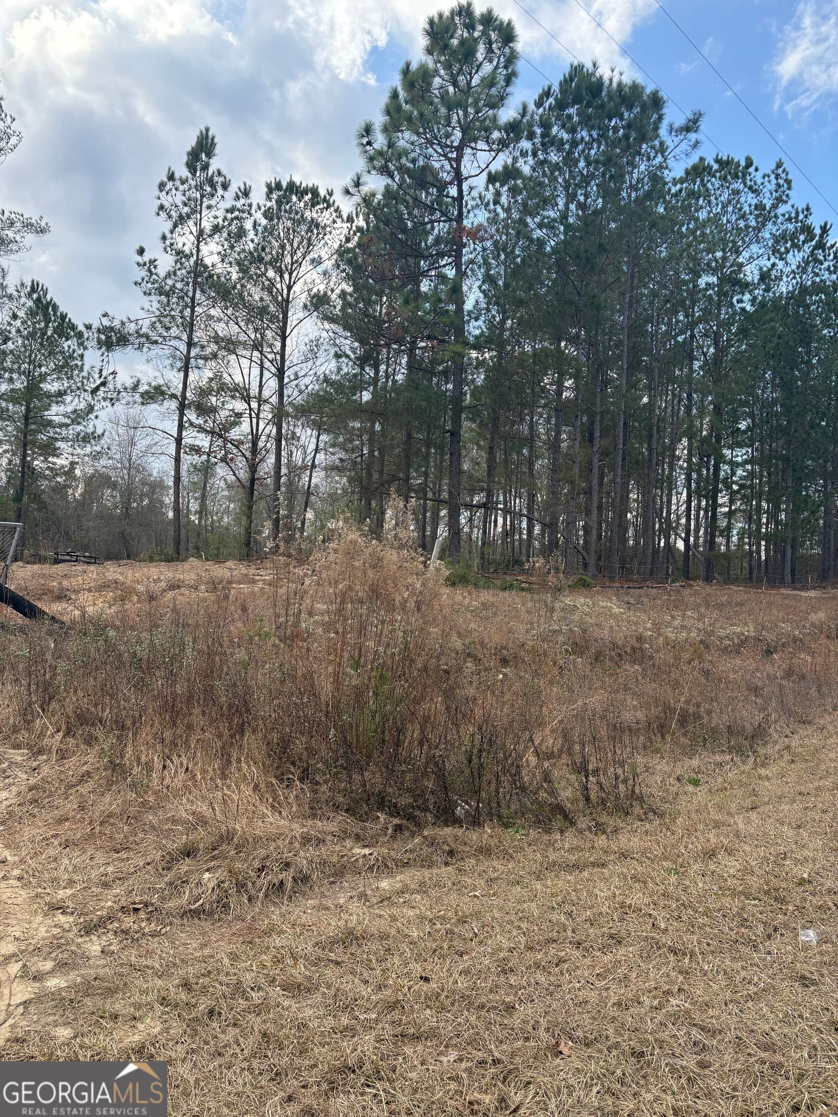 unimproved land for sale at 0 GA Hwy 338 (Taylor Grocery Rd), Cadwell, GA 31009 — photo 2