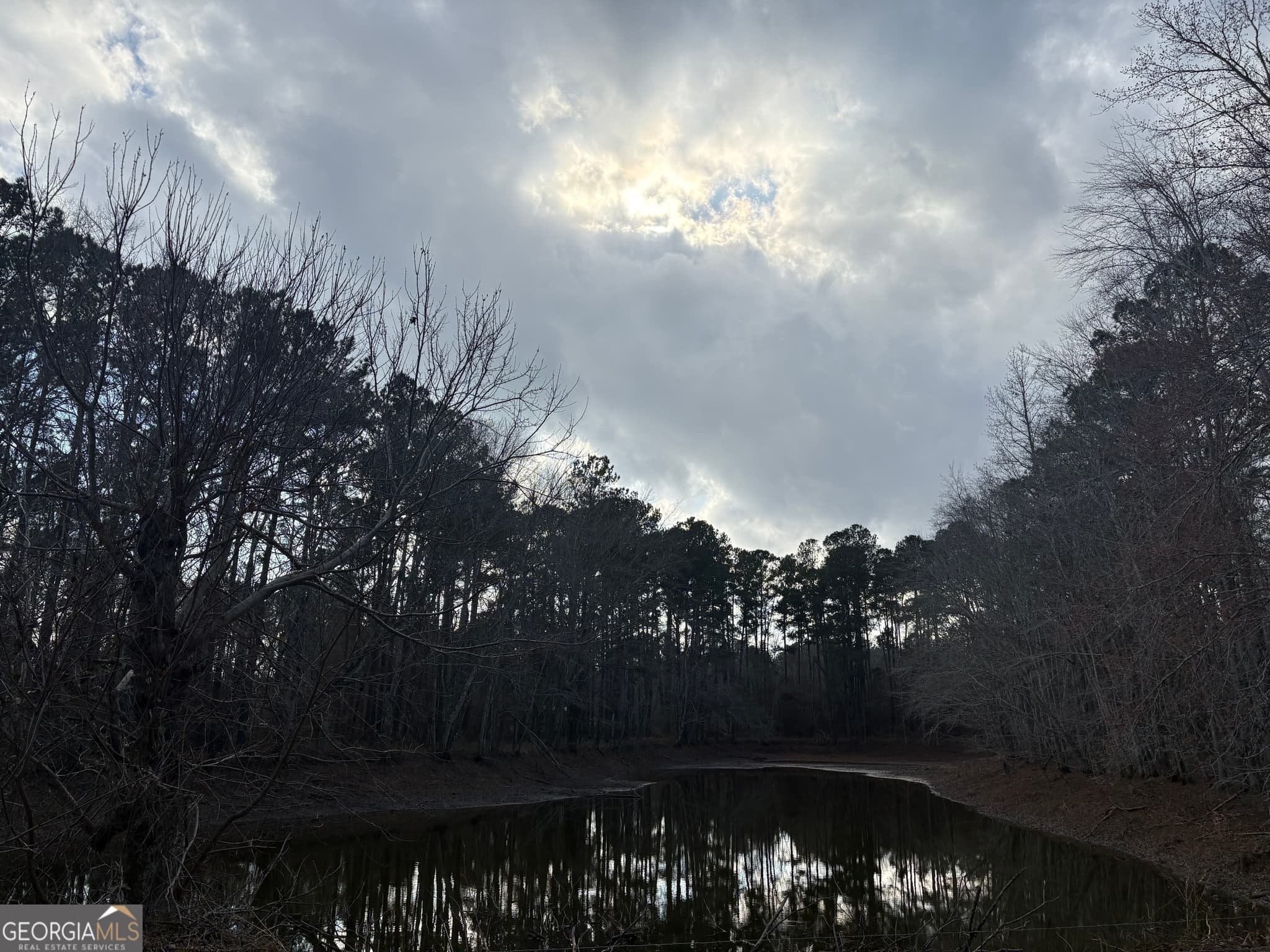 unimproved land for sale at 0 GA Hwy 338 (Taylor Grocery Rd), Cadwell, GA 31009 — photo 6