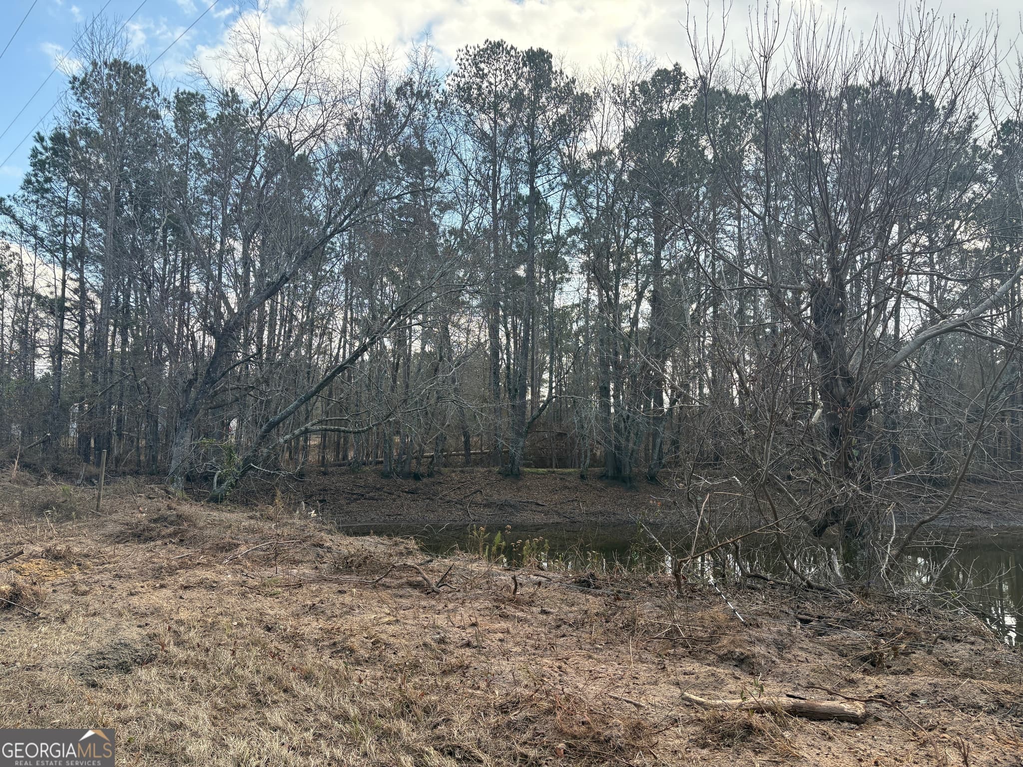 unimproved land for sale at 0 GA Hwy 338 (Taylor Grocery Rd), Cadwell, GA 31009 — photo 7