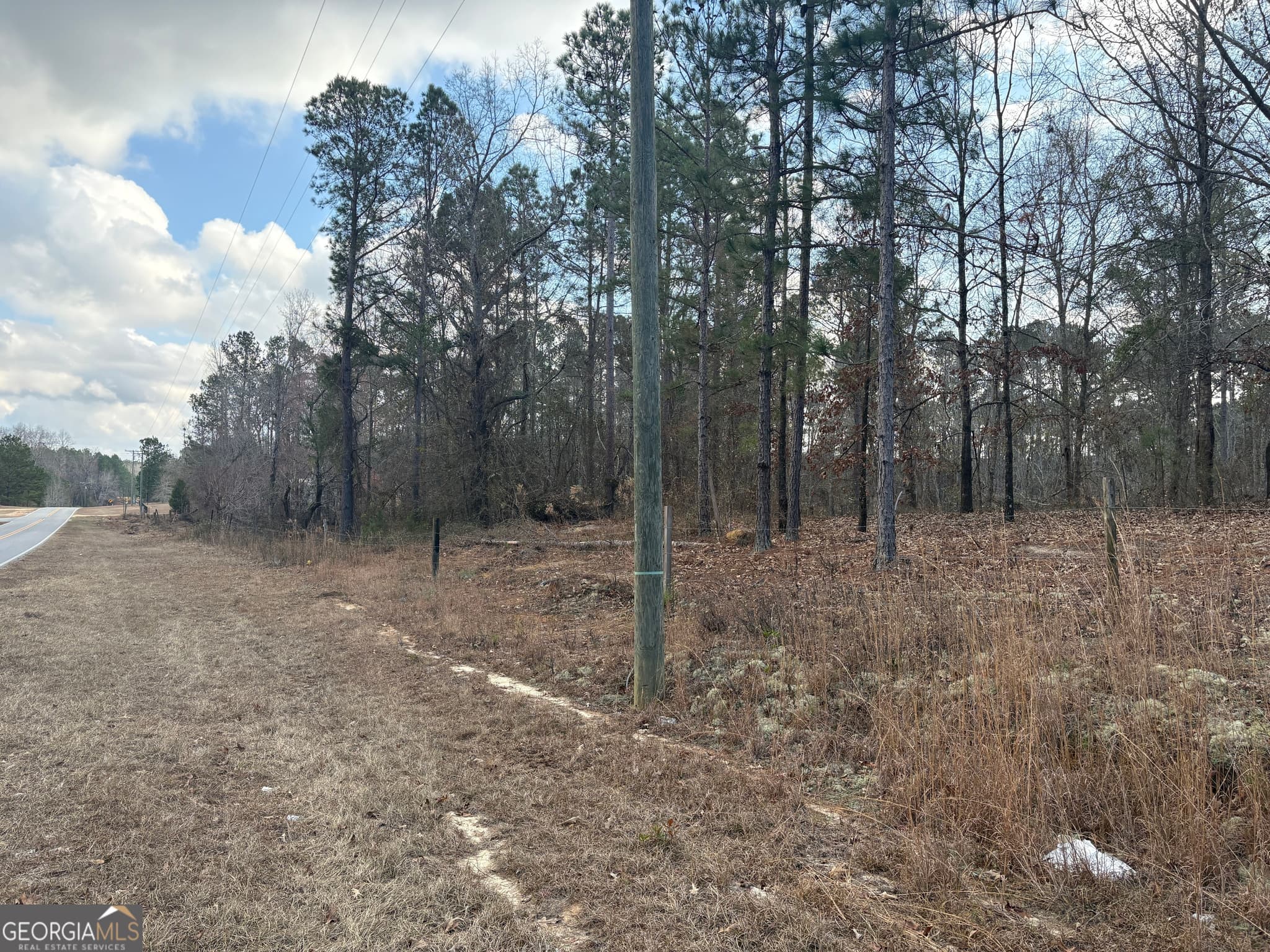 unimproved land for sale at 0 GA Hwy 338 (Taylor Grocery Rd), Cadwell, GA 31009 — photo 3