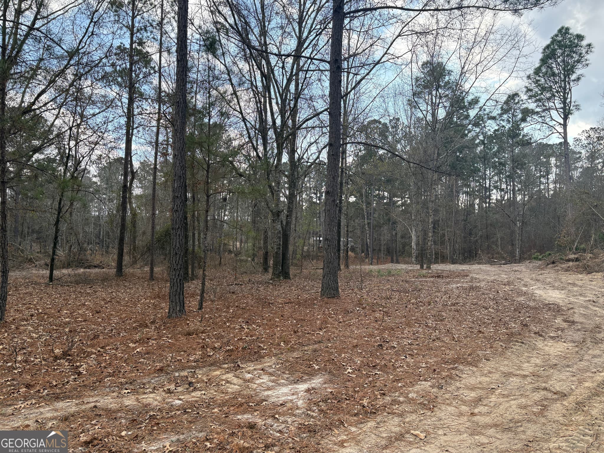 unimproved land for sale at 0 GA Hwy 338 (Taylor Grocery Rd), Cadwell, GA 31009 — photo 1 of 13