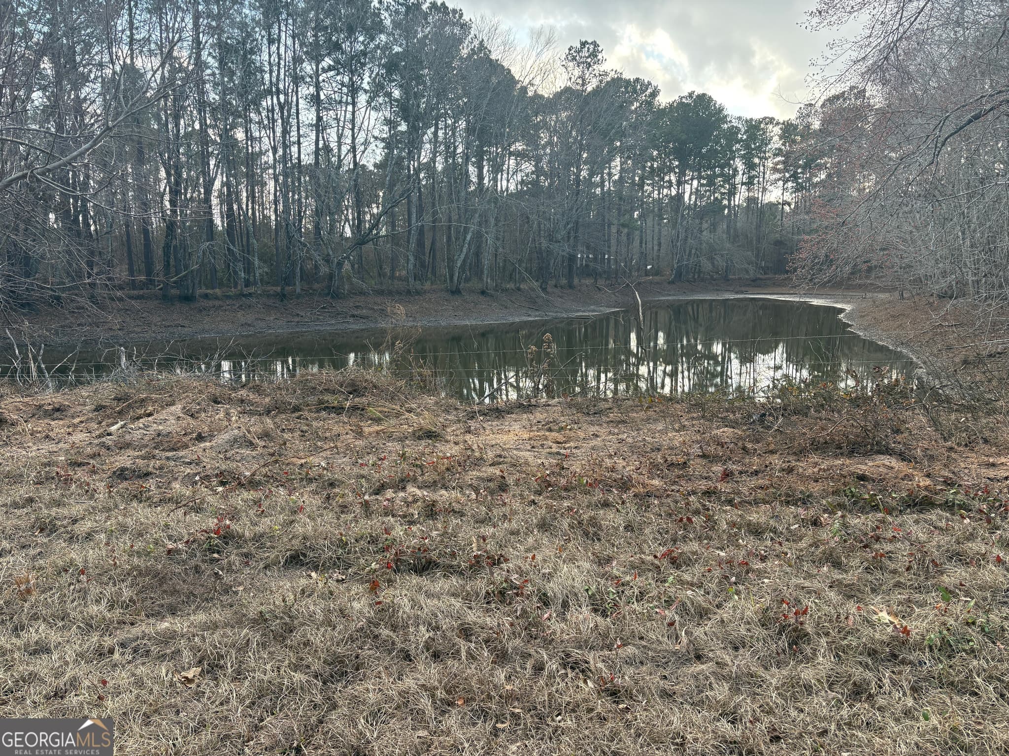 unimproved land for sale at 0 GA Hwy 338 (Taylor Grocery Rd), Cadwell, GA 31009 — photo 5