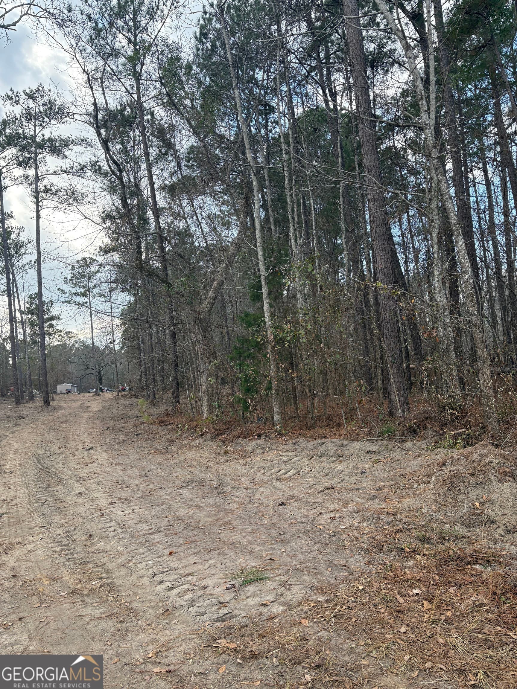 unimproved land for sale at 0 GA Hwy 338 (Taylor Grocery Rd), Cadwell, GA 31009 — photo 9