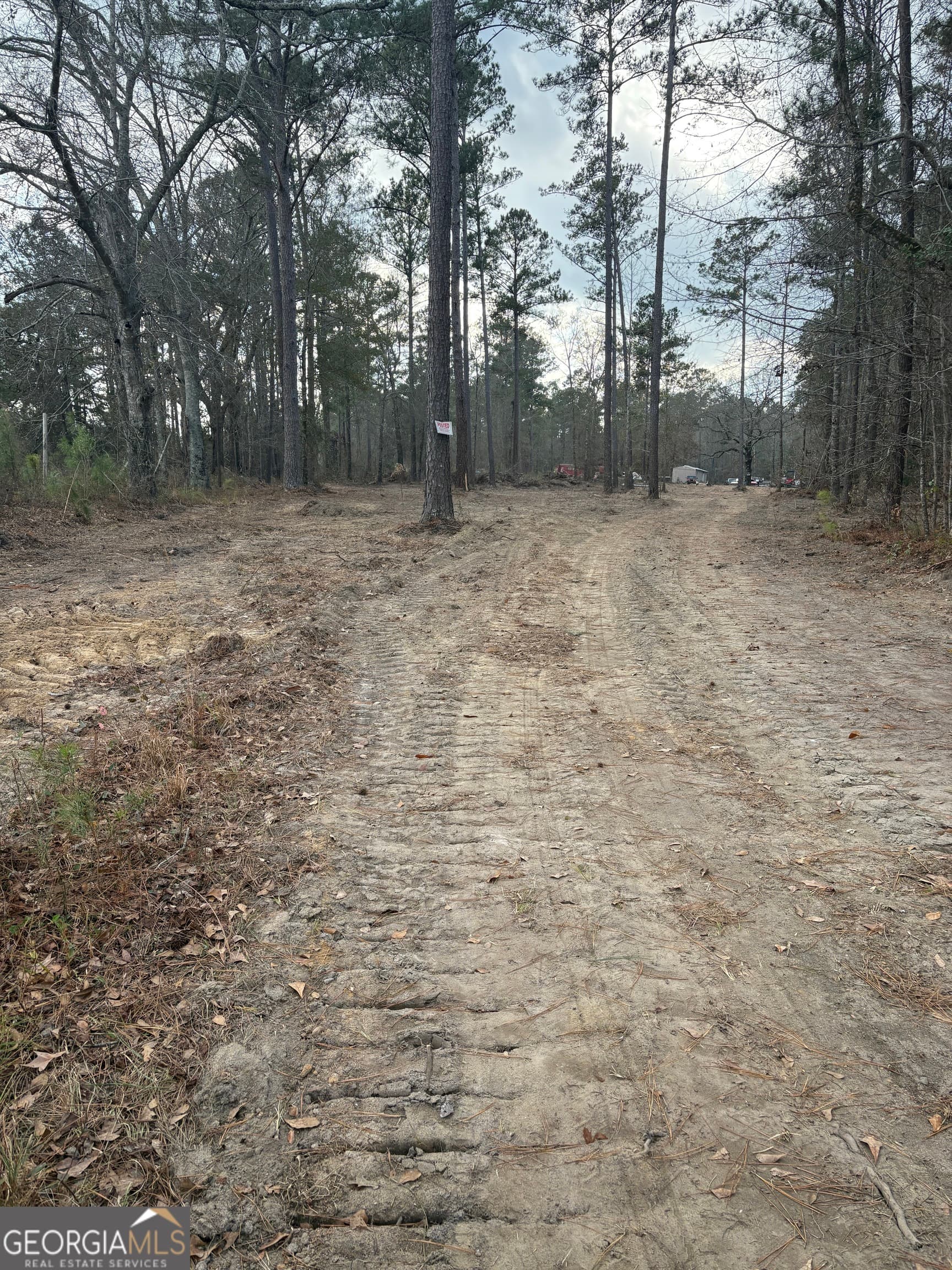 unimproved land for sale at 0 GA Hwy 338 (Taylor Grocery Rd), Cadwell, GA 31009 — photo 10