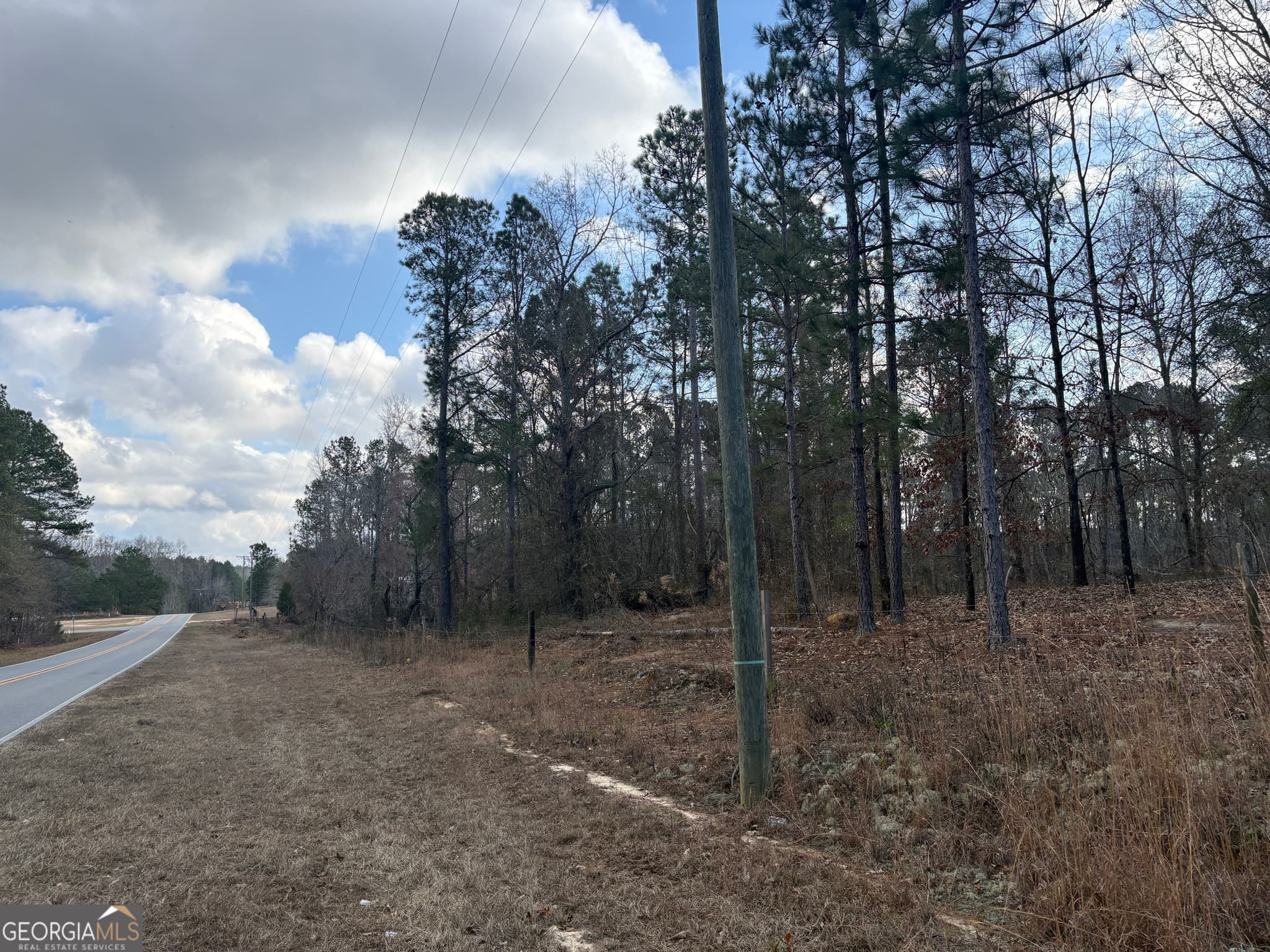 unimproved land for sale at 0 GA Hwy 338 (Taylor Grocery Rd), Cadwell, GA 31009 — photo 4