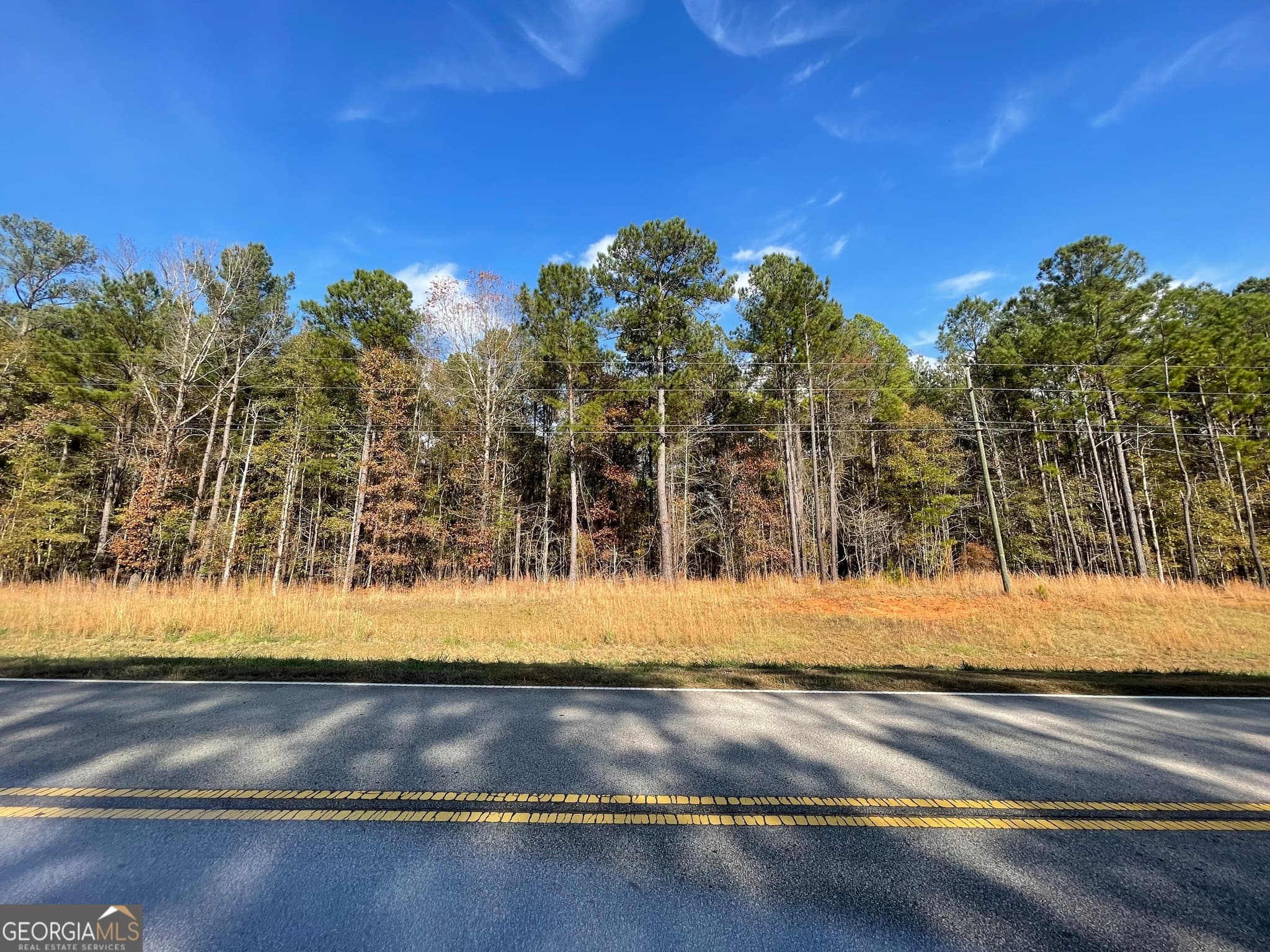 residential lot for sale at 0 New Hope Road, Locust Grove, GA 30248 — photo 5