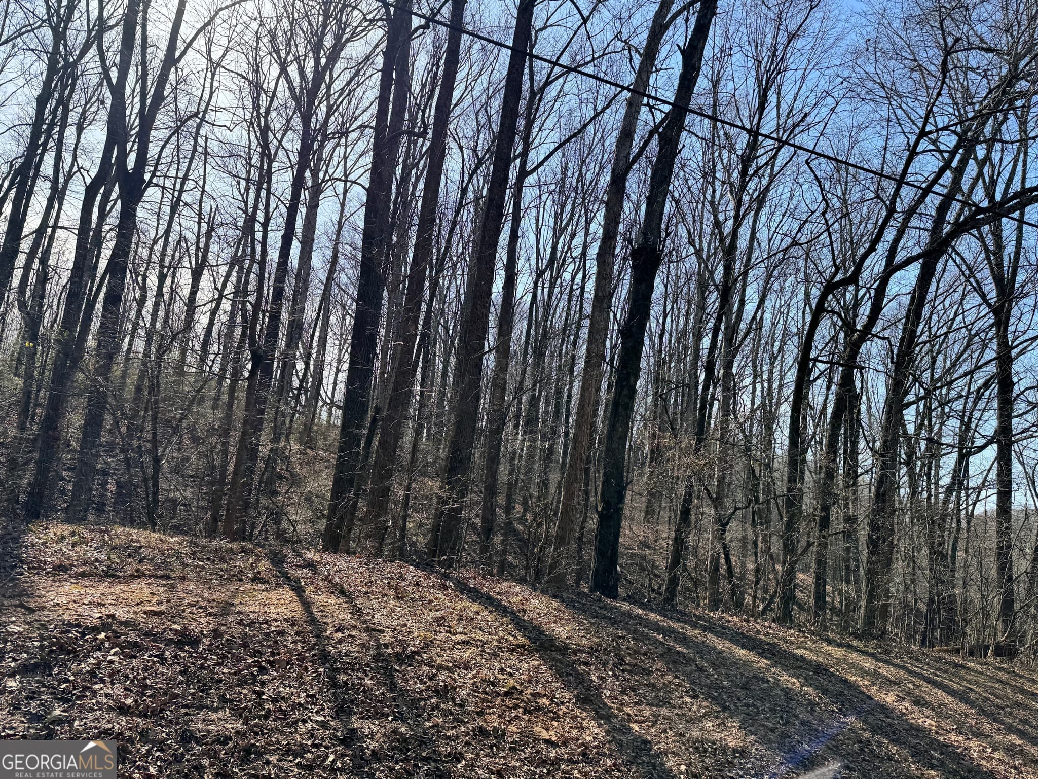 residential lot for sale at 0 Wall Road, Winder, GA 30680 — photo 1 of 2