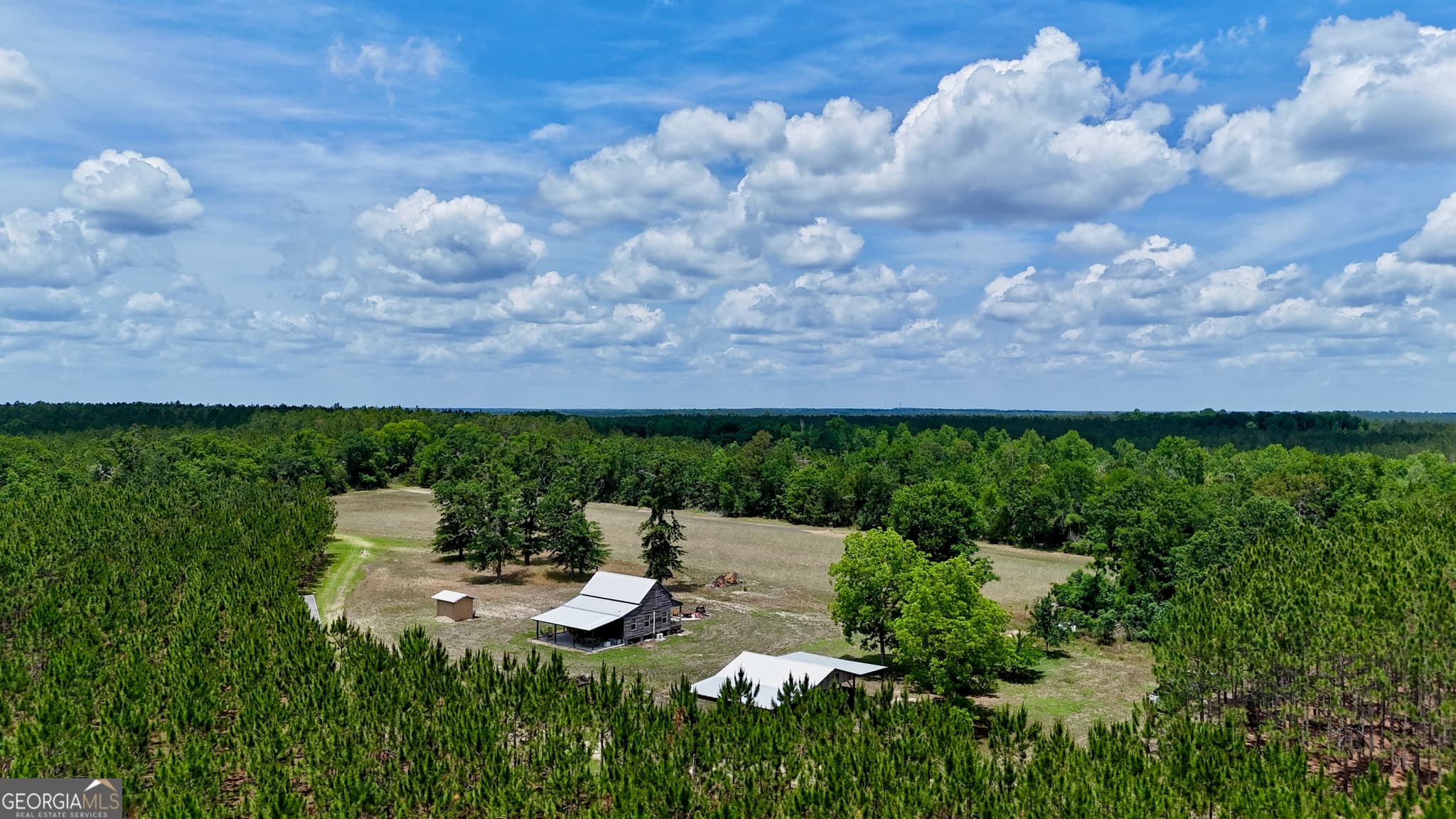 agriculture for sale at 0 Neily Wagon Road, Mcrae-Helena, GA 31055 — photo 2