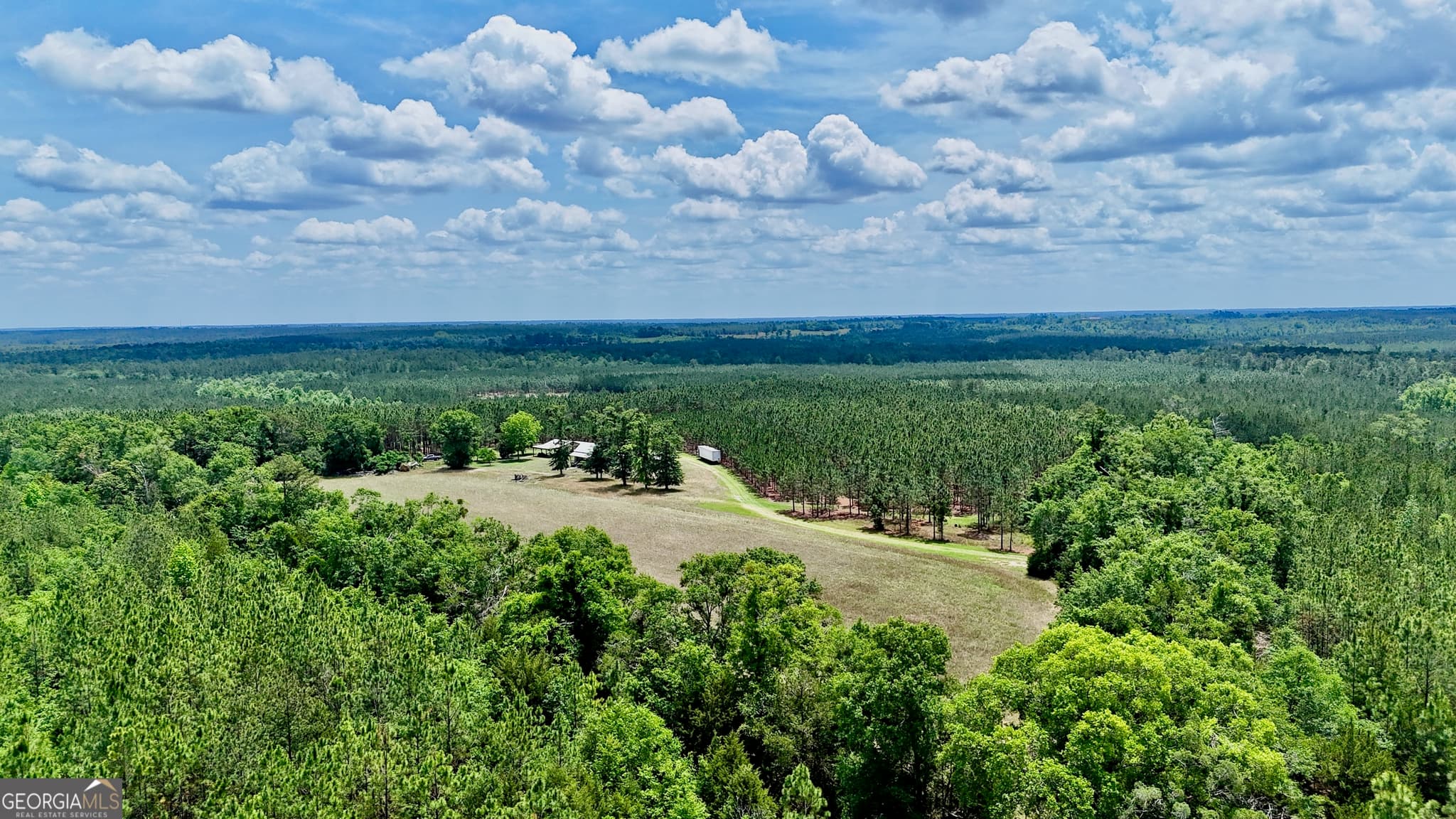 agriculture for sale at 0 Neily Wagon Road, Mcrae-Helena, GA 31055 — photo 3