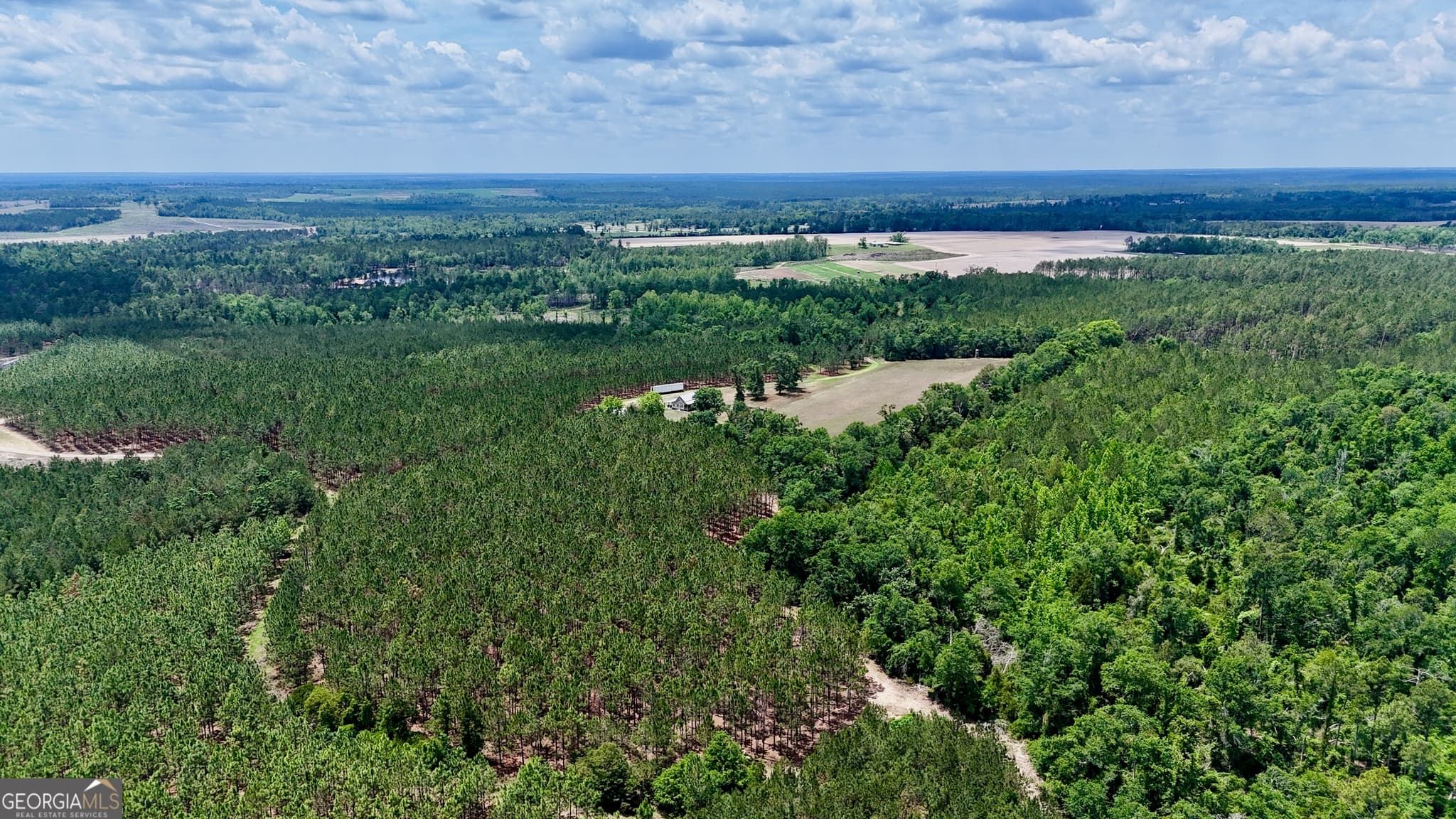 agriculture for sale at 0 Neily Wagon Road, Mcrae-Helena, GA 31055