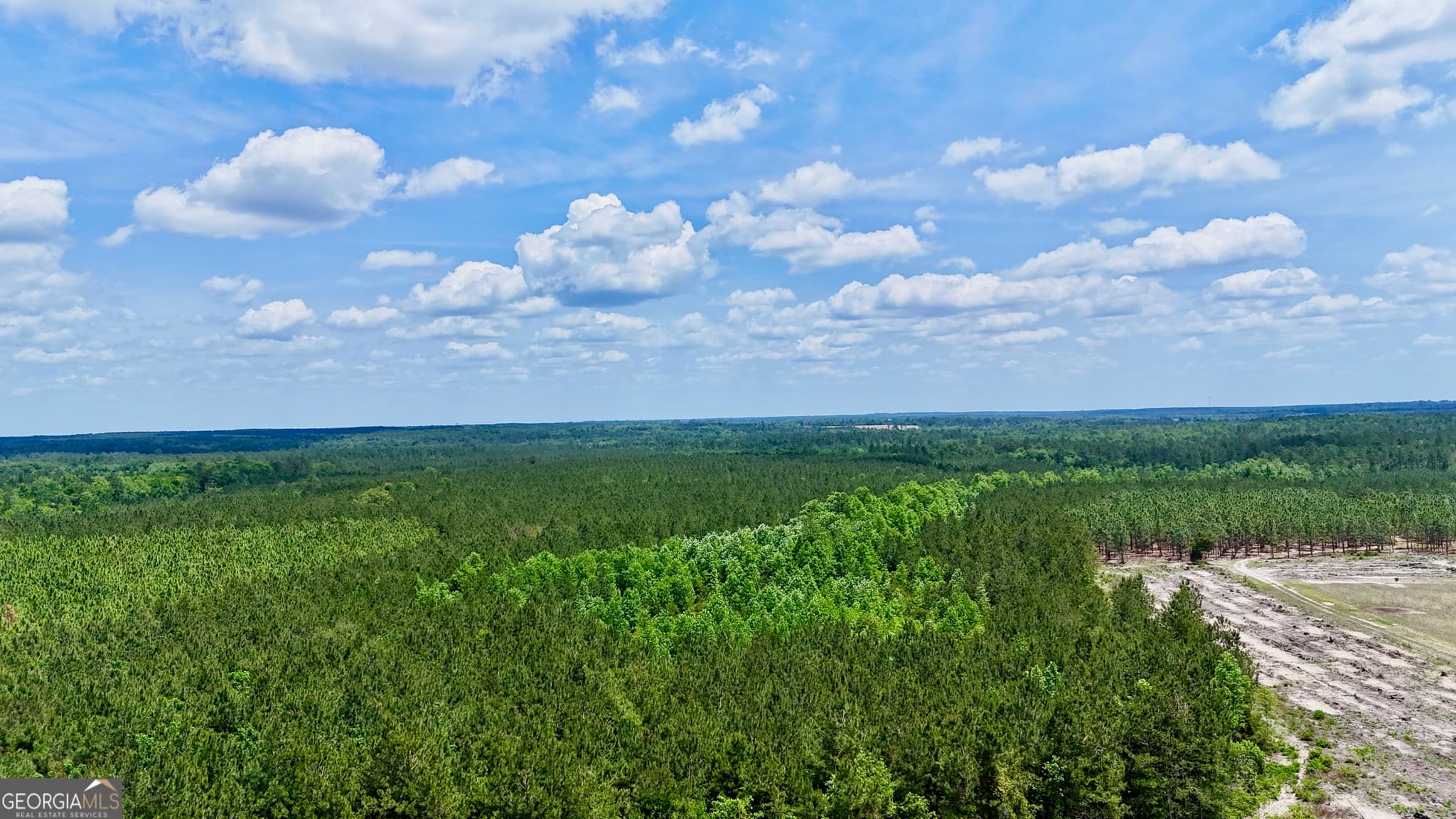agriculture for sale at 0 Neily Wagon Road, Mcrae-Helena, GA 31055 — photo 9