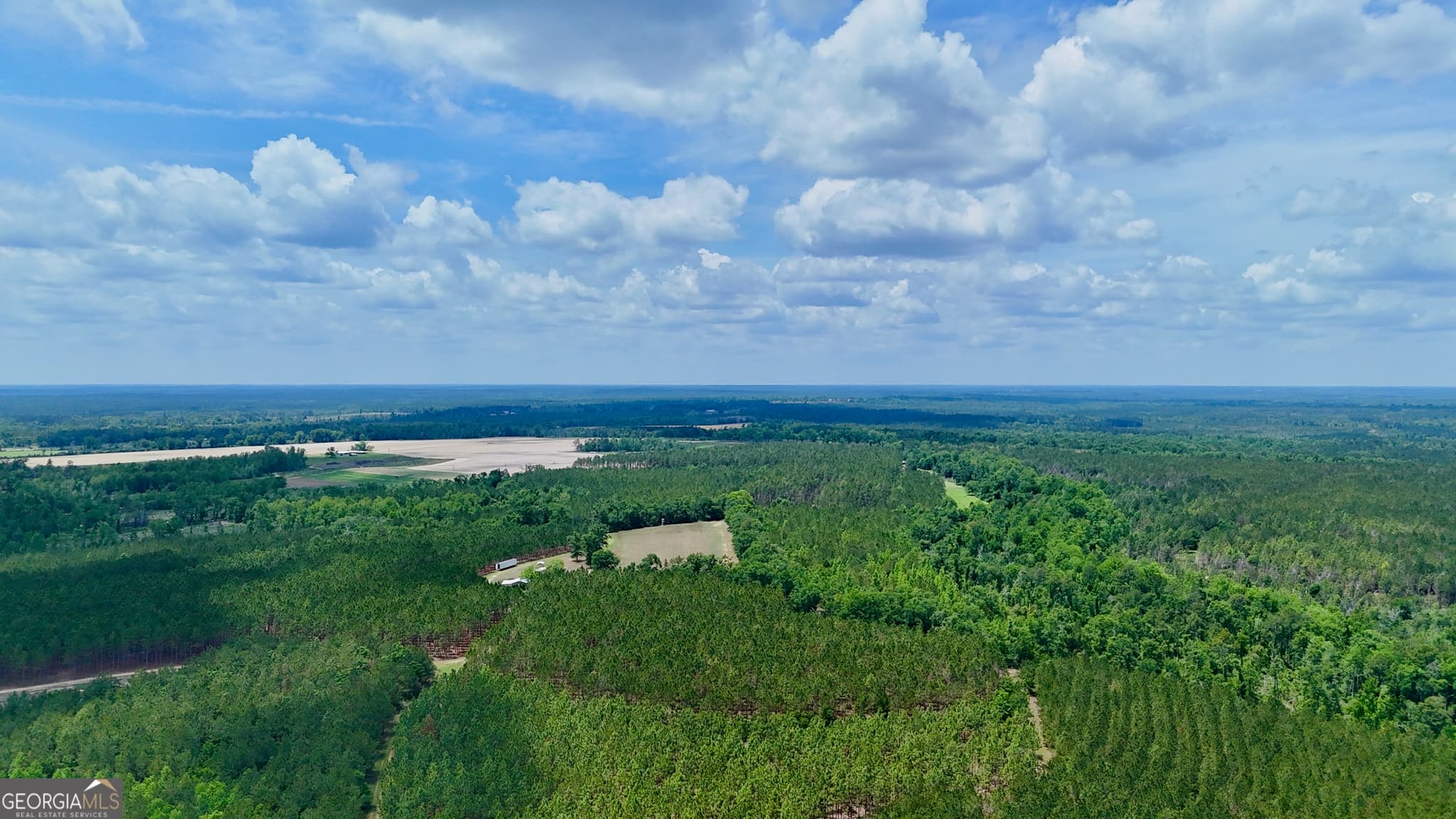 agriculture for sale at 0 Neily Wagon Road, Mcrae-Helena, GA 31055 — photo 10