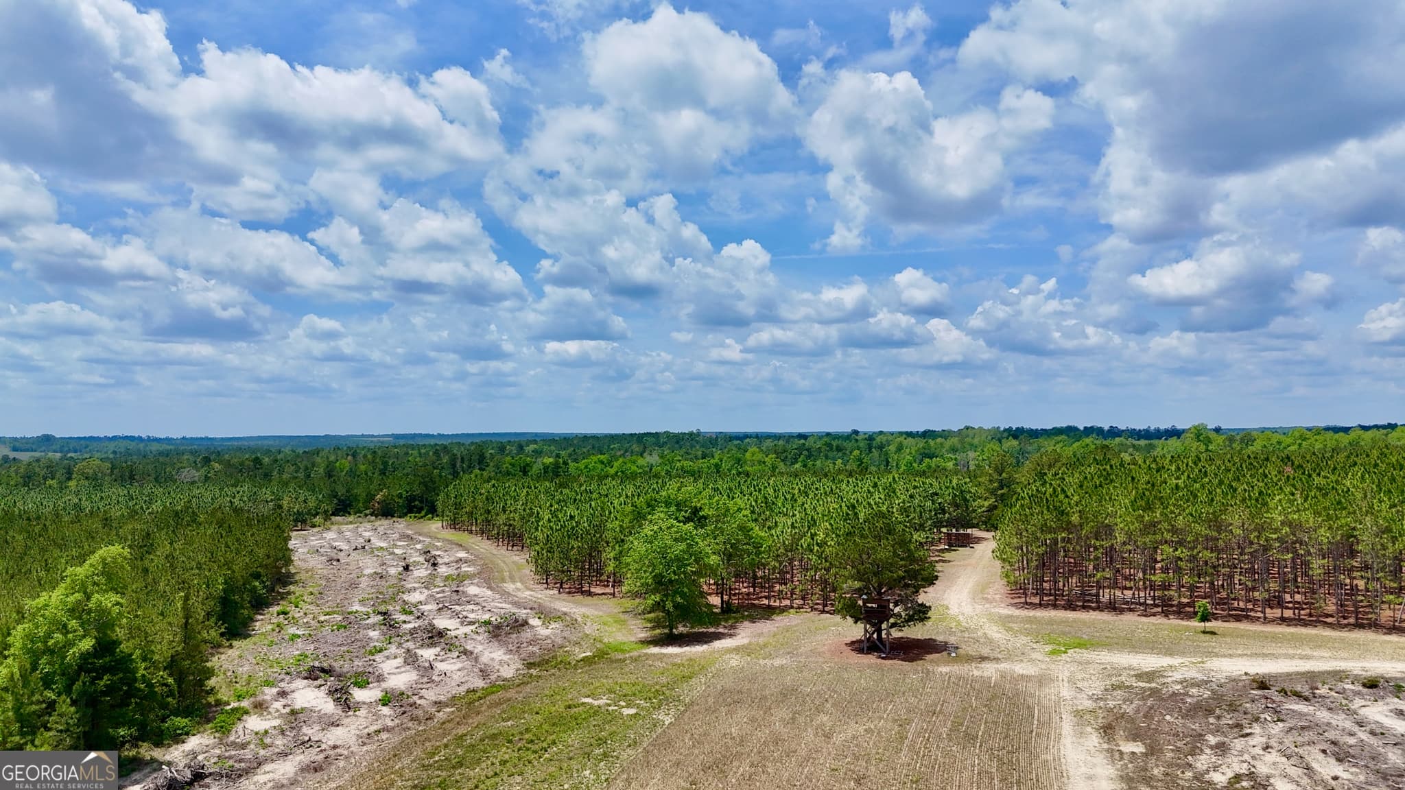 agriculture for sale at 0 Neily Wagon Road, Mcrae-Helena, GA 31055 — photo 8