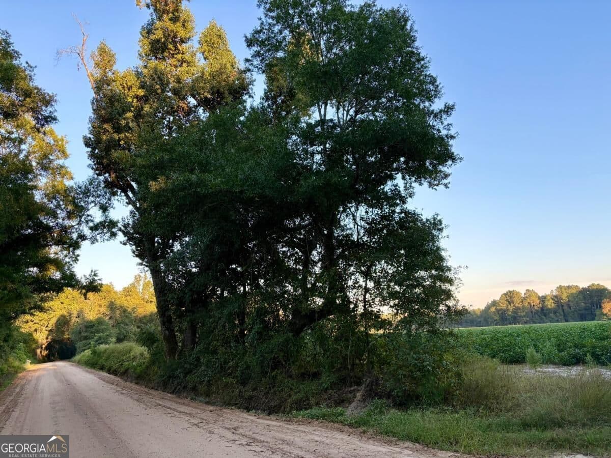 unimproved land for sale at 0 Old Moore Road 3, Portal, GA 30450 — photo 3