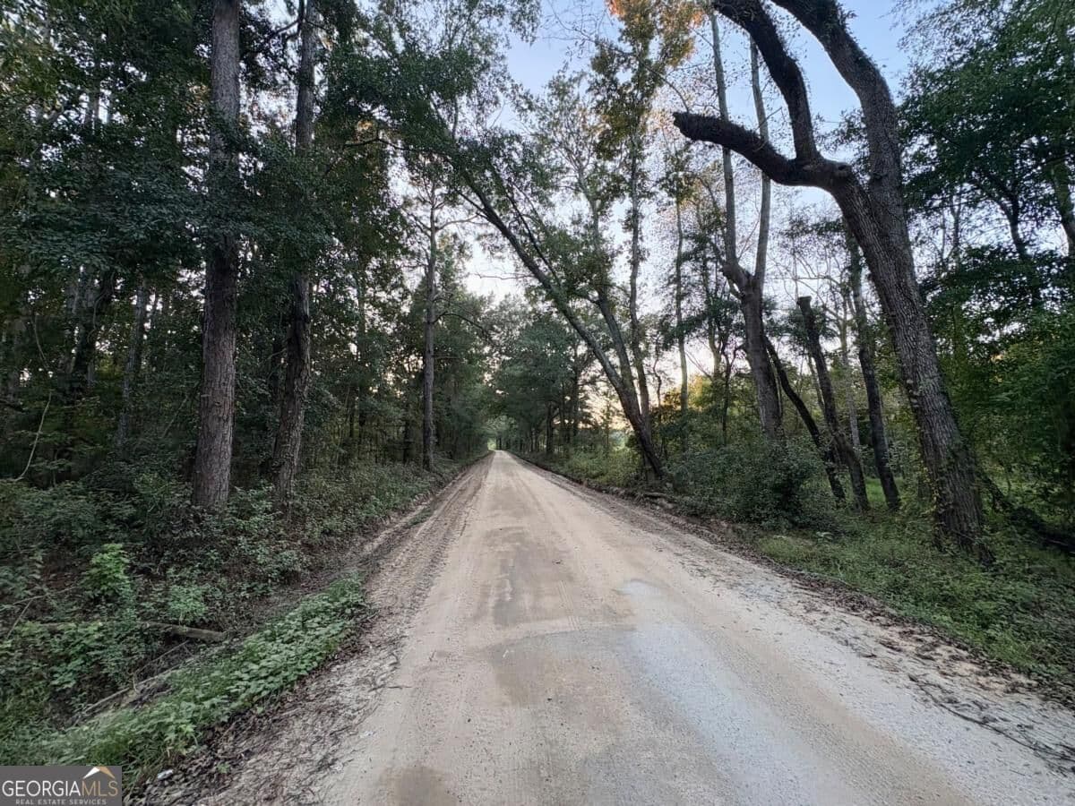 unimproved land for sale at 0 Old Moore Road 3, Portal, GA 30450 — photo 10